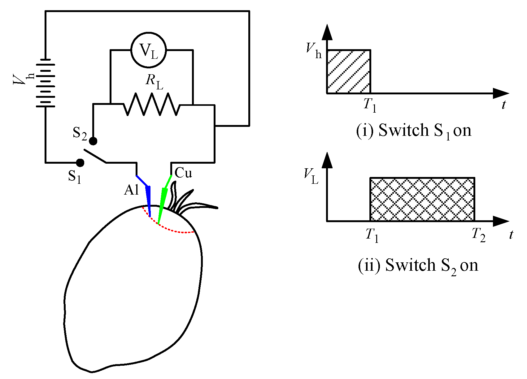Micromachines 11 00806 g003