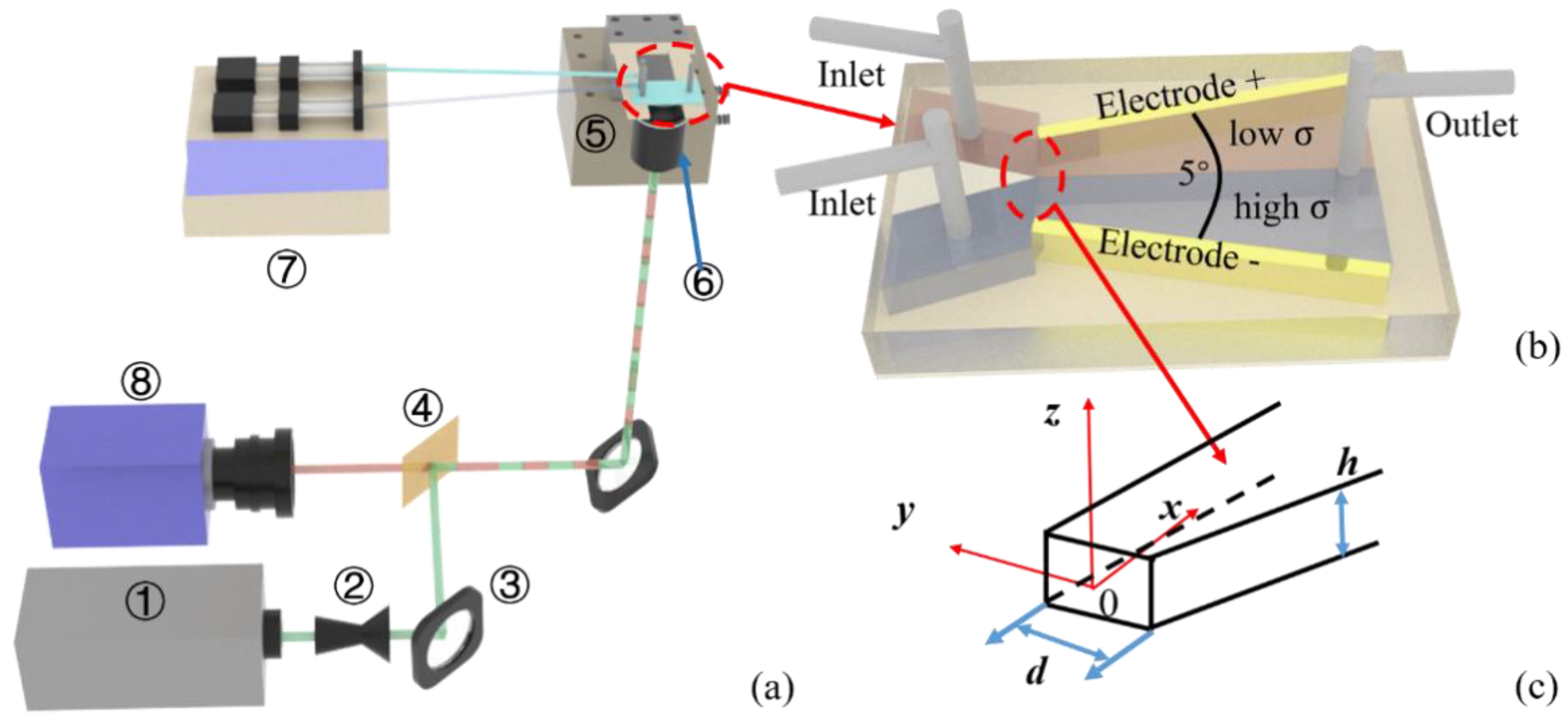 Micromachines 11 00813 g001
