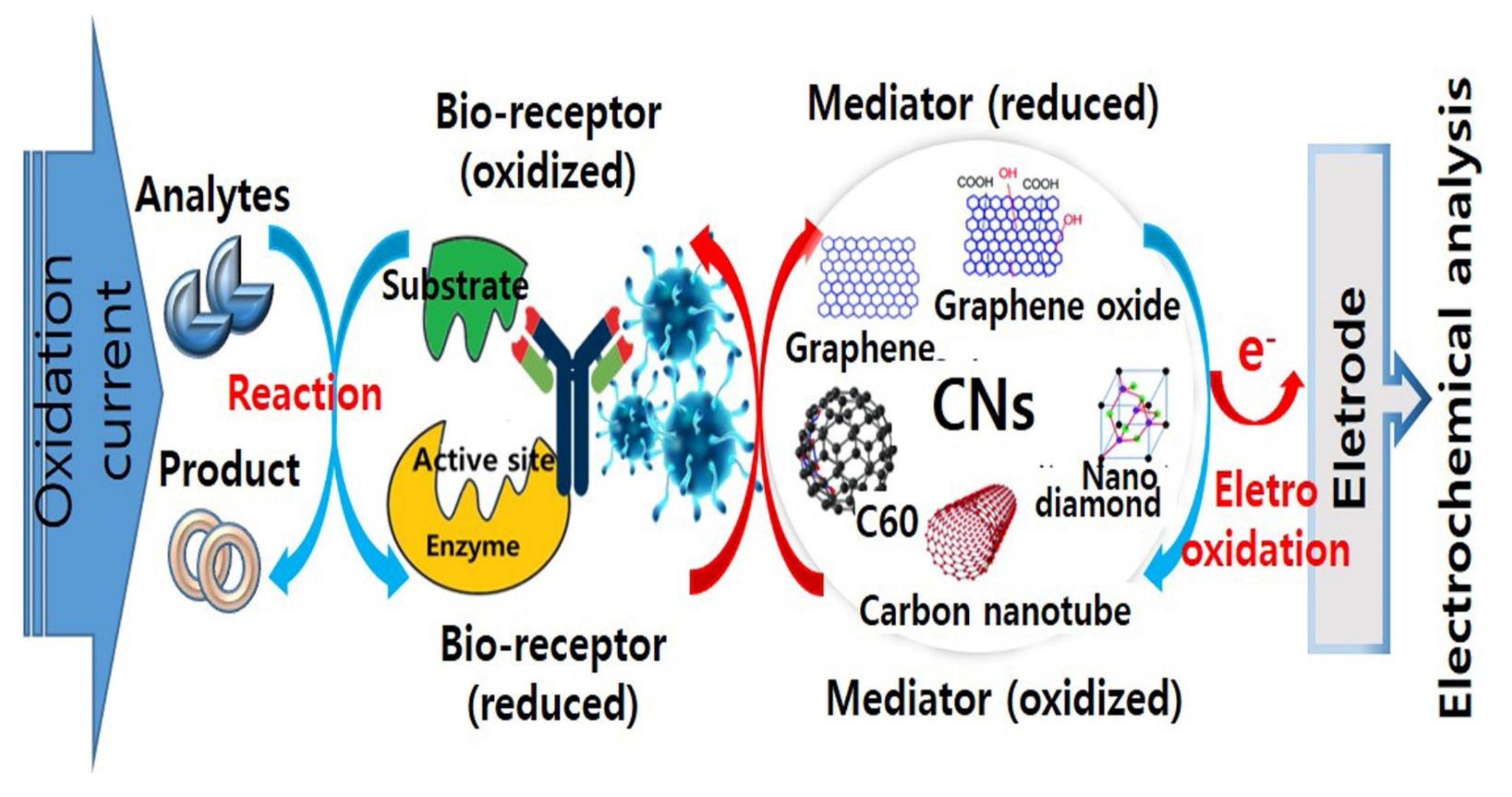 Micromachines | Free Full-Text | Carbon Nanomaterials as Versatile 