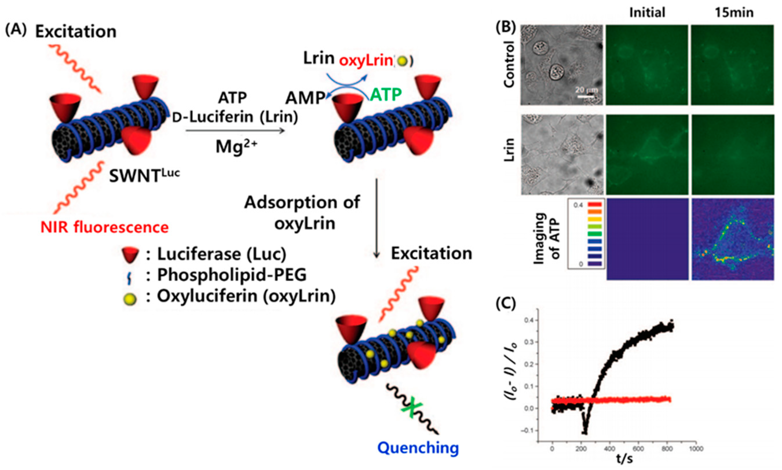 Micromachines 11 00814 g005