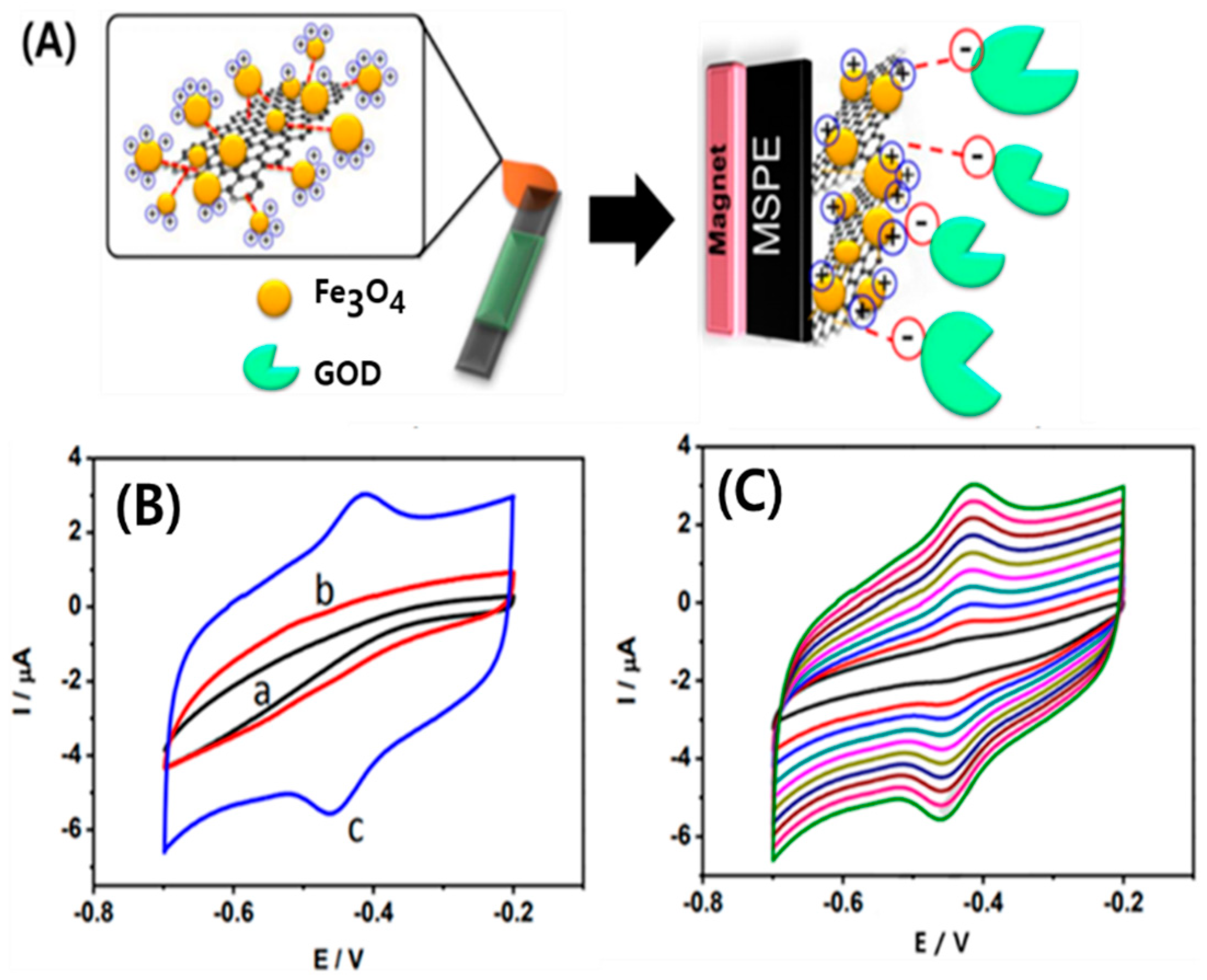 Micromachines 11 00814 g010
