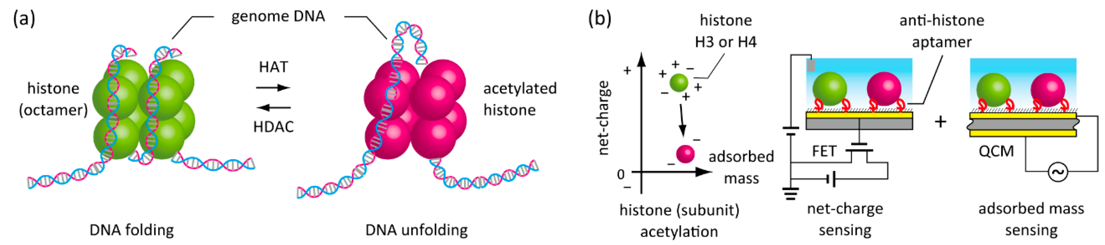Micromachines 11 00820 g001 Micromachines 11 00820 g001
