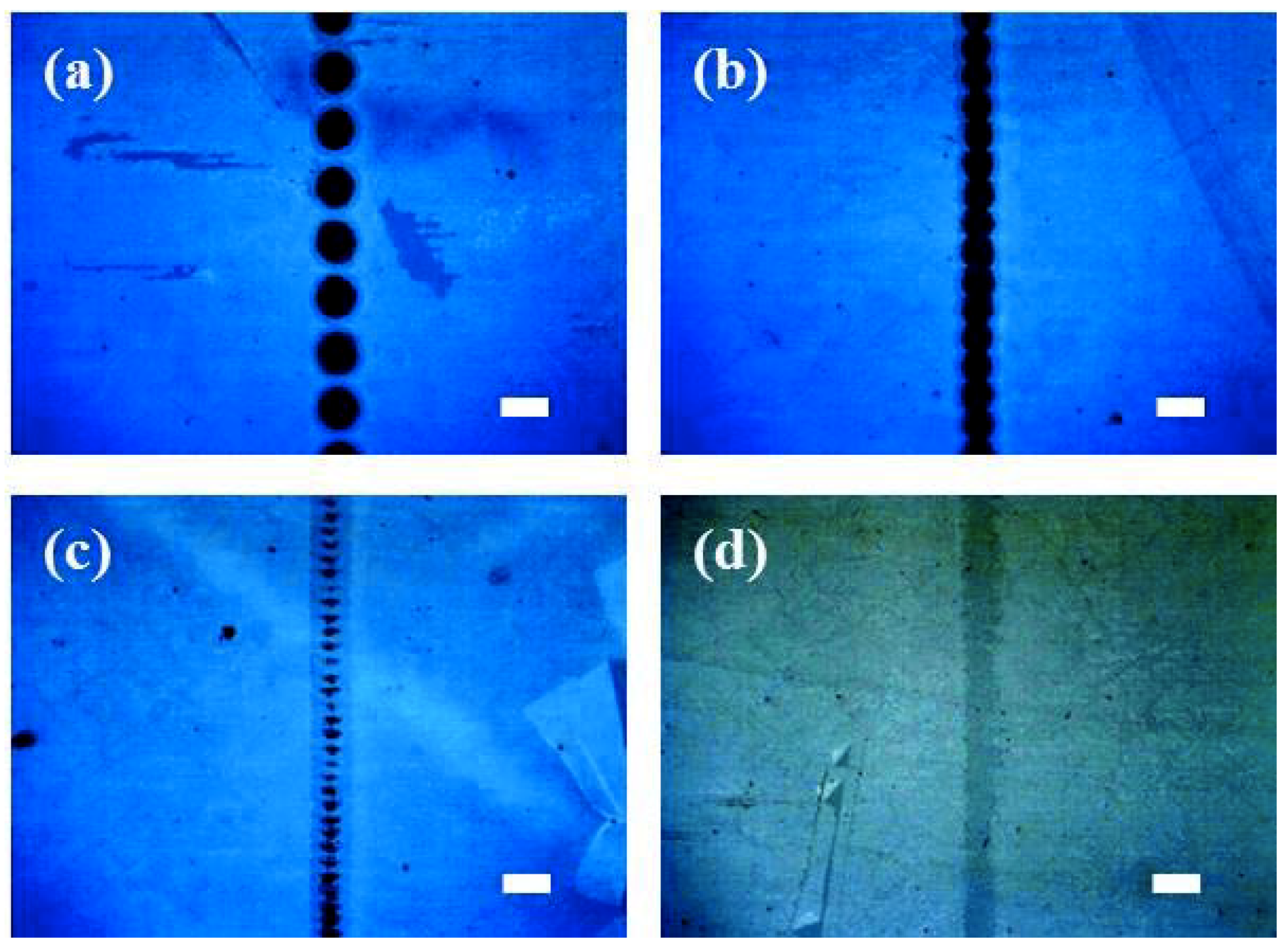 Micromachines 11 00821 g004 Micromachines 11 00821 g004