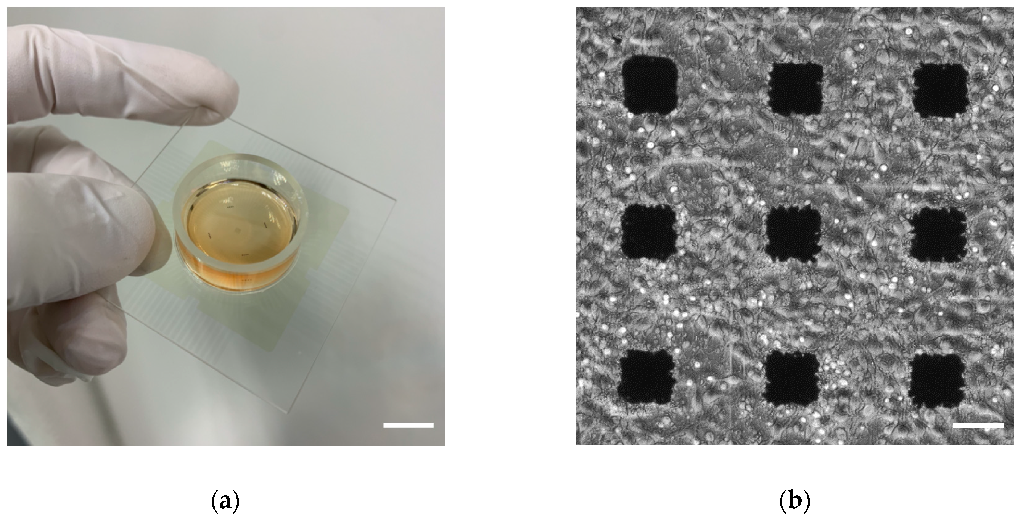 Micromachines 11 00830 g001