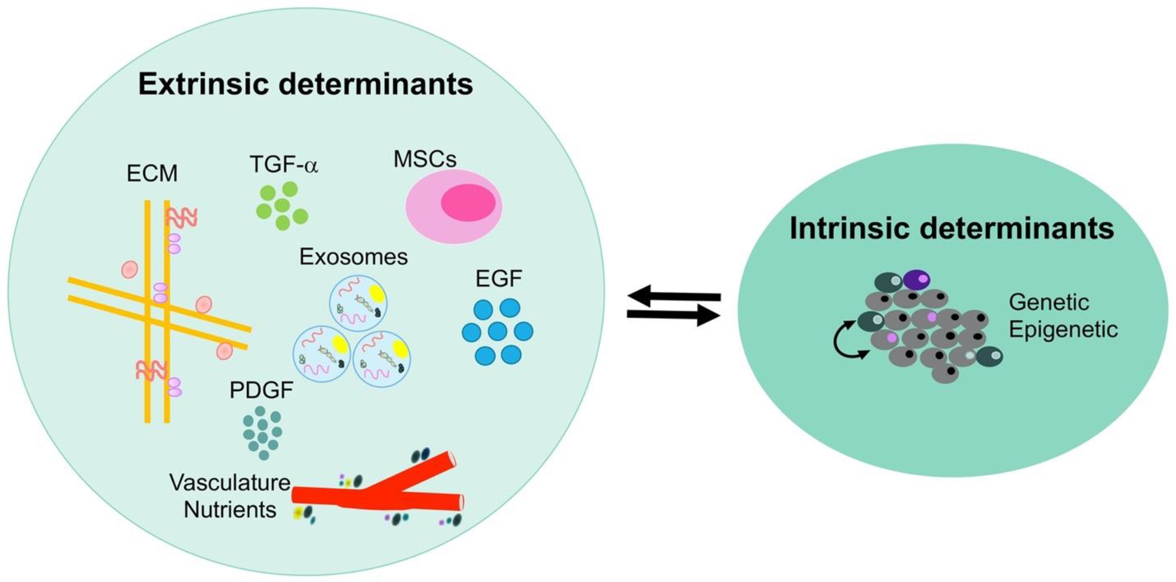 Micromachines 11 00832 g002
