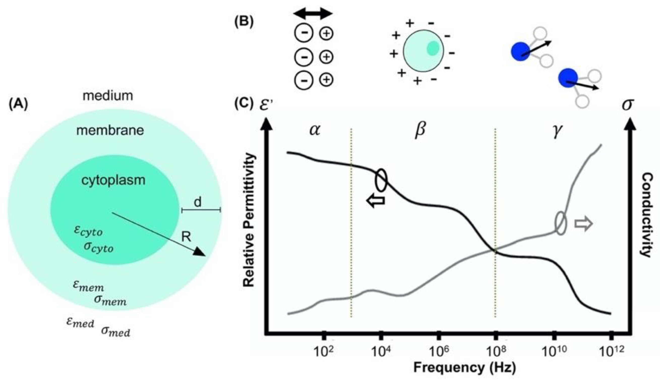 Micromachines 11 00832 g003