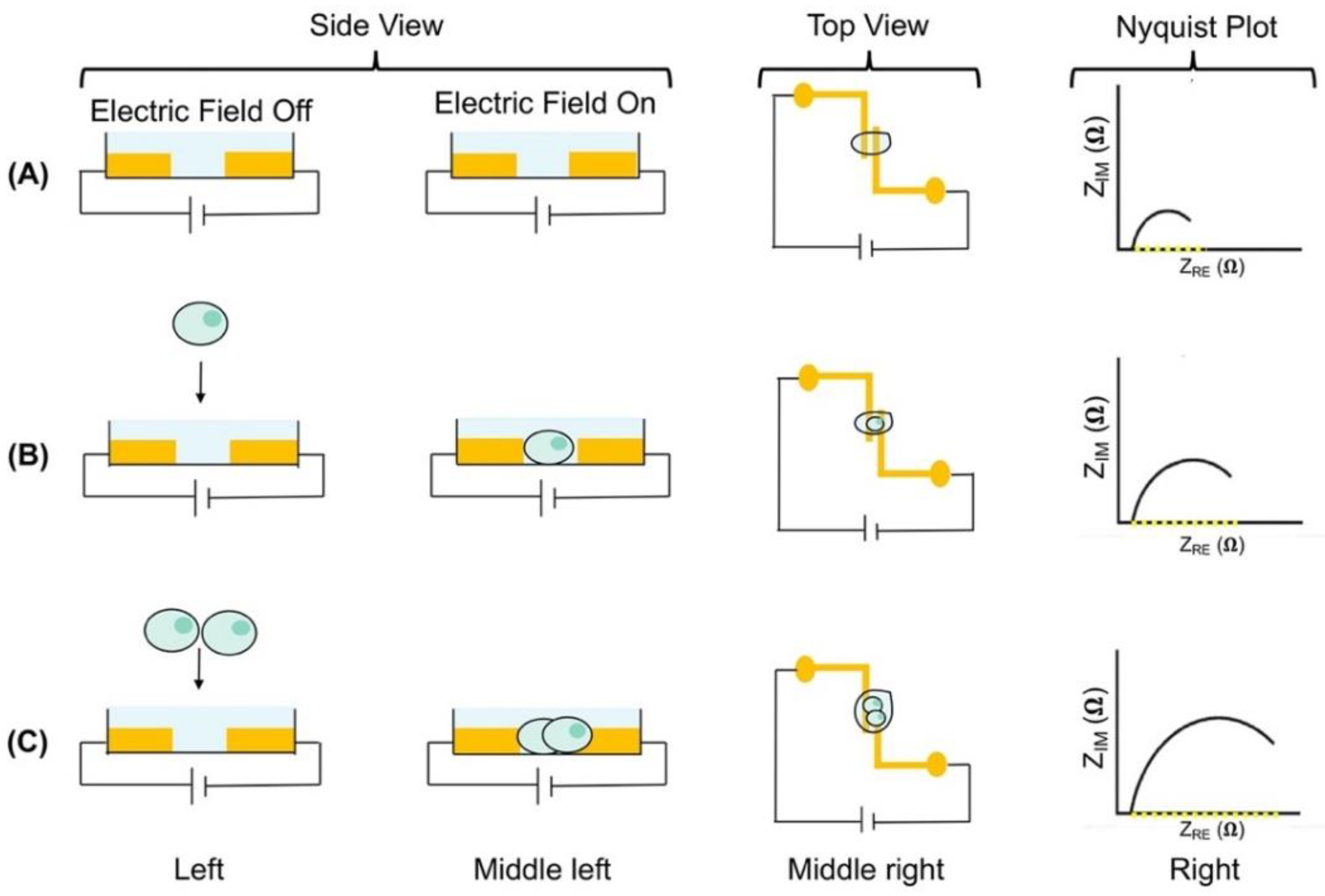 Micromachines 11 00832 g004