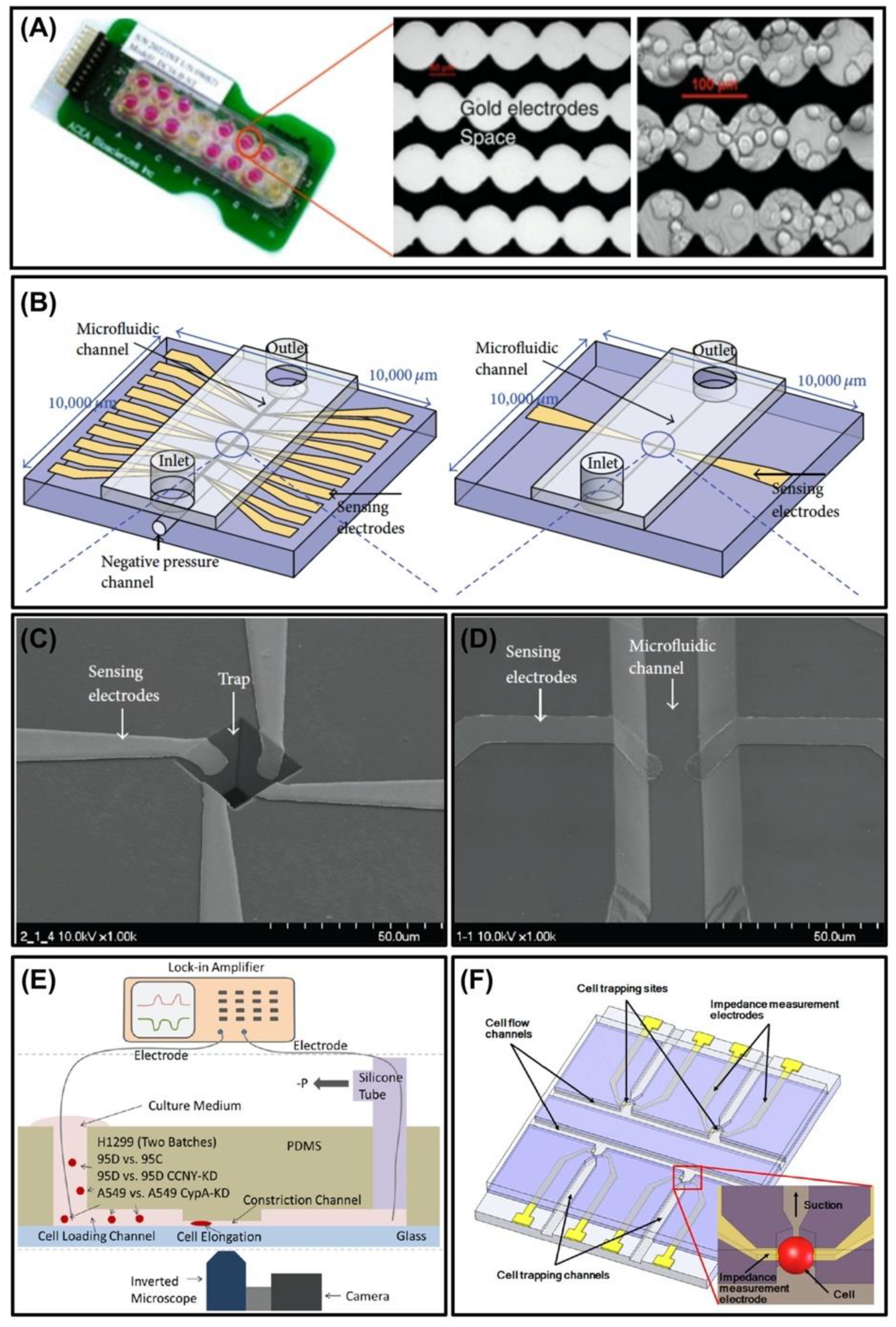 Micromachines 11 00832 g005