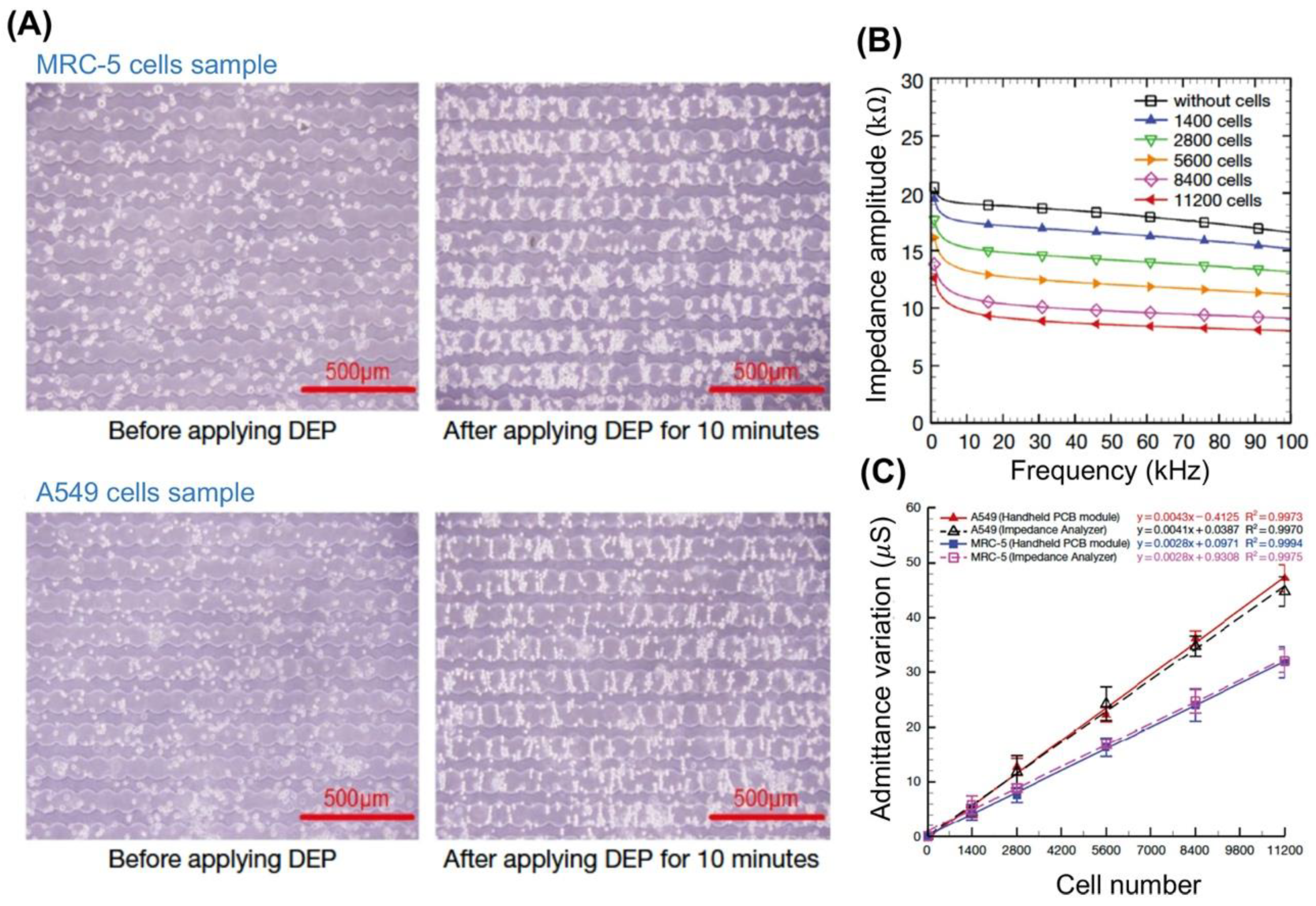 Micromachines 11 00832 g006