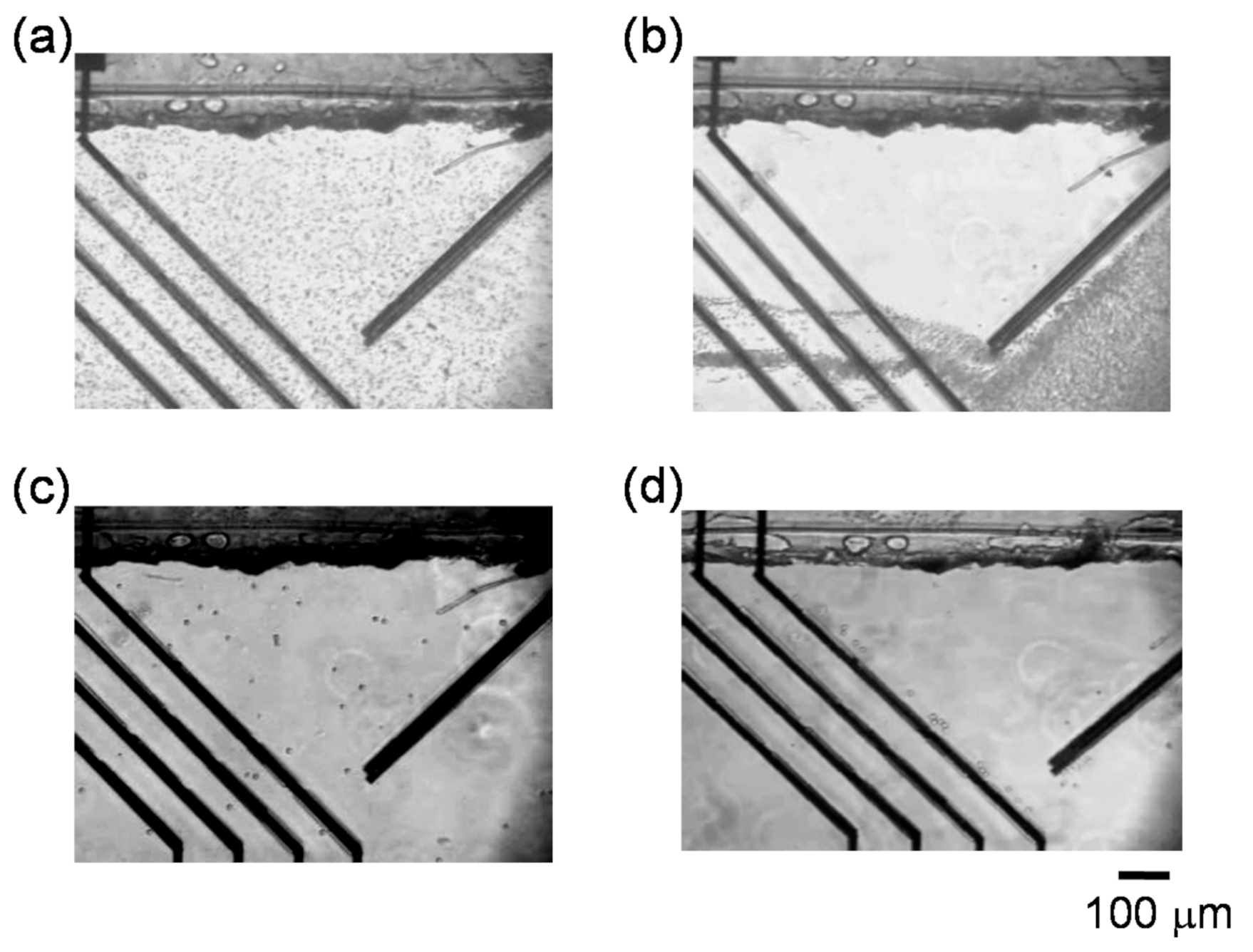 Micromachines 11 00833 g003 Micromachines 11 00833 g003