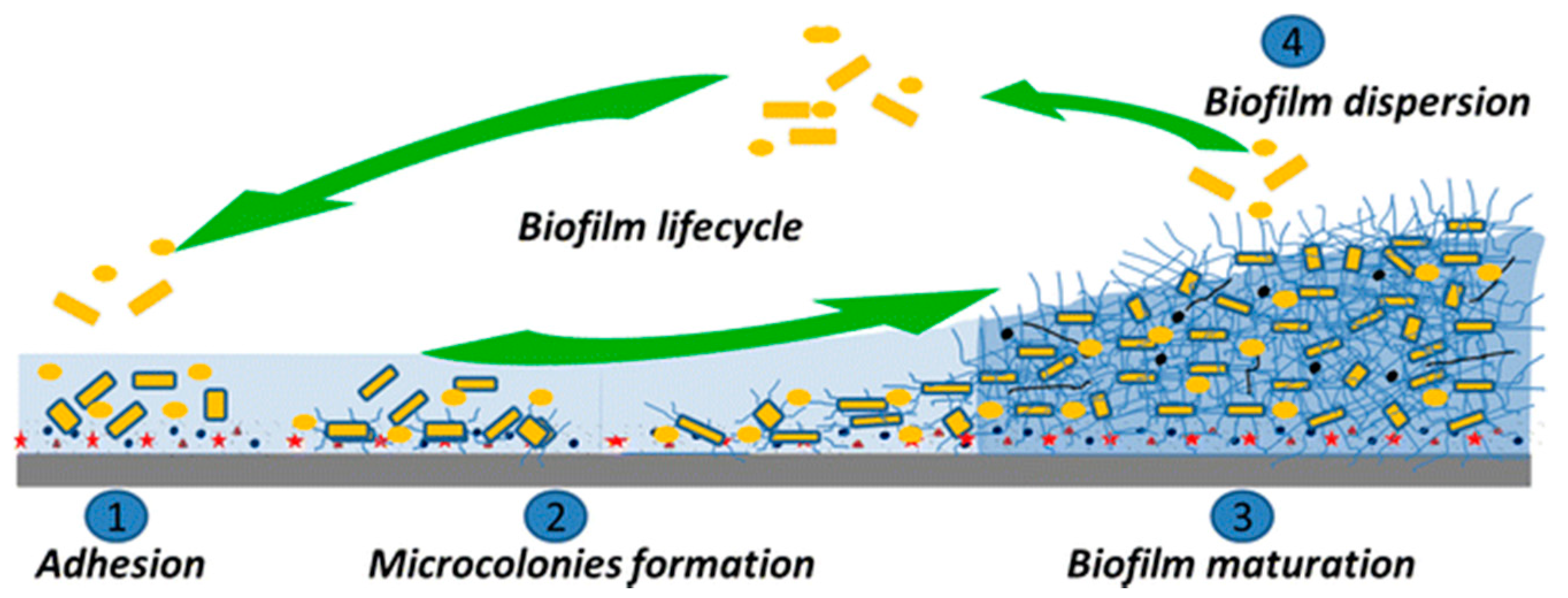 Micromachines 11 00835 g003 Micromachines 11 00835 g003