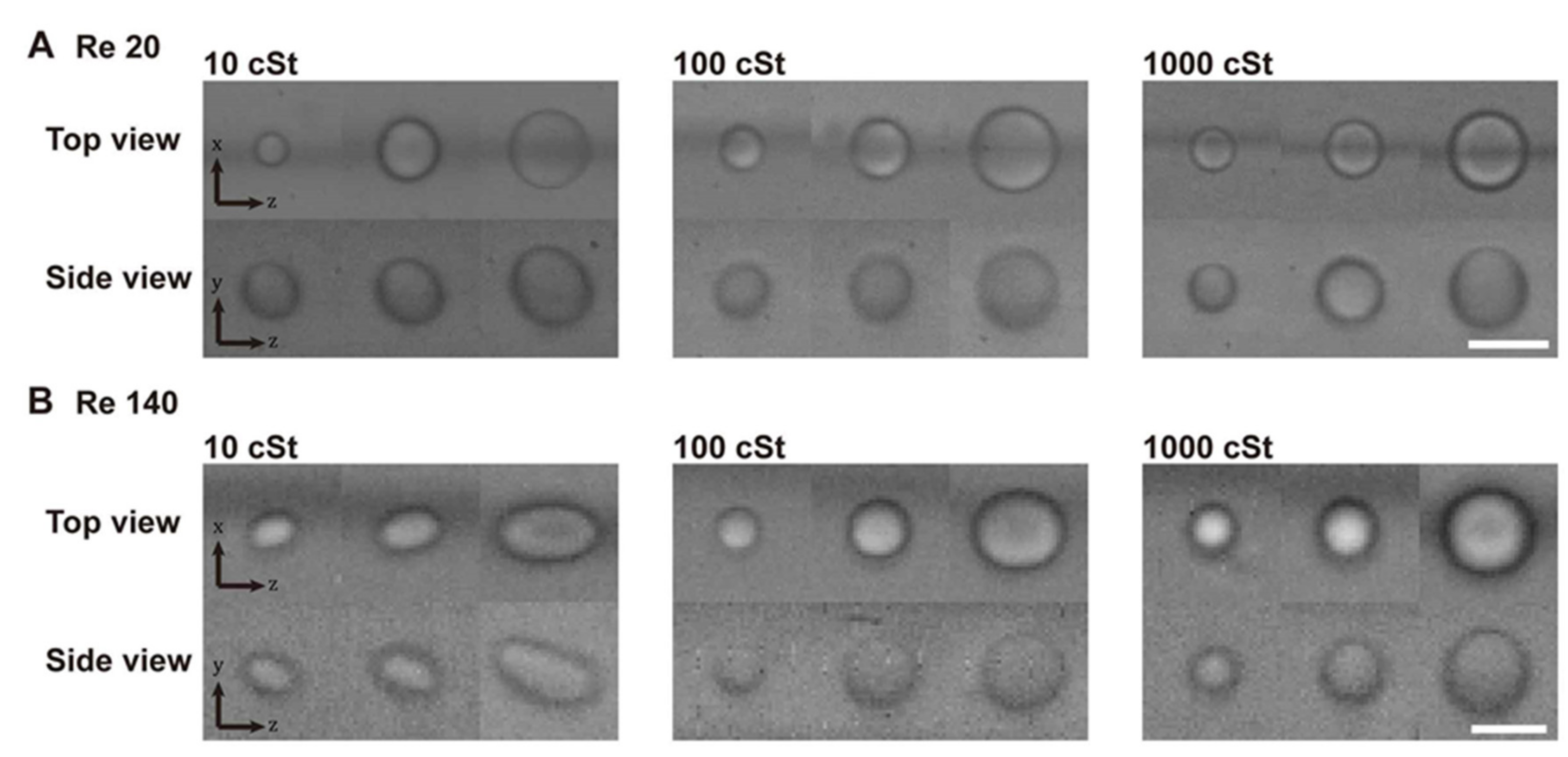 Micromachines 11 00839 g002 Micromachines 11 00839 g002