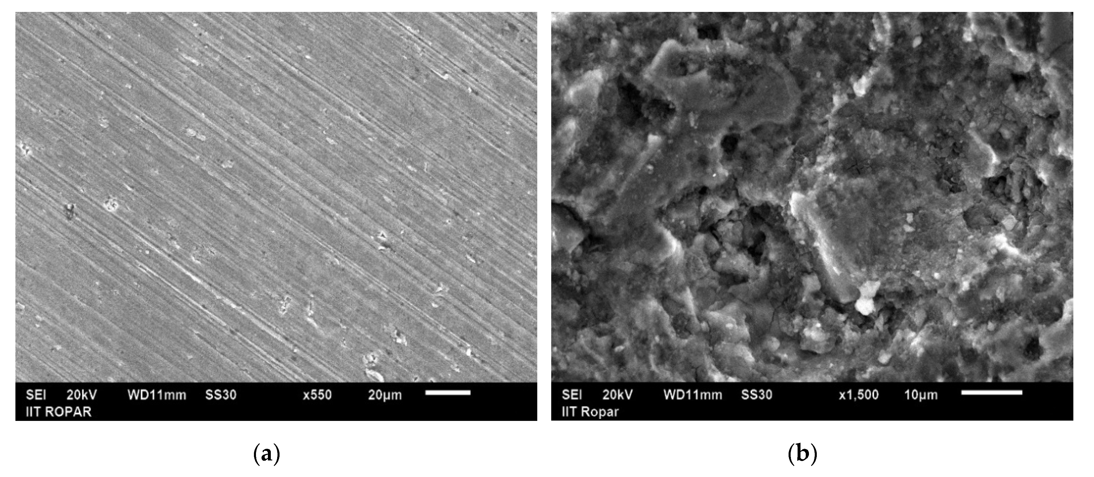 Micromachines 11 00850 g005