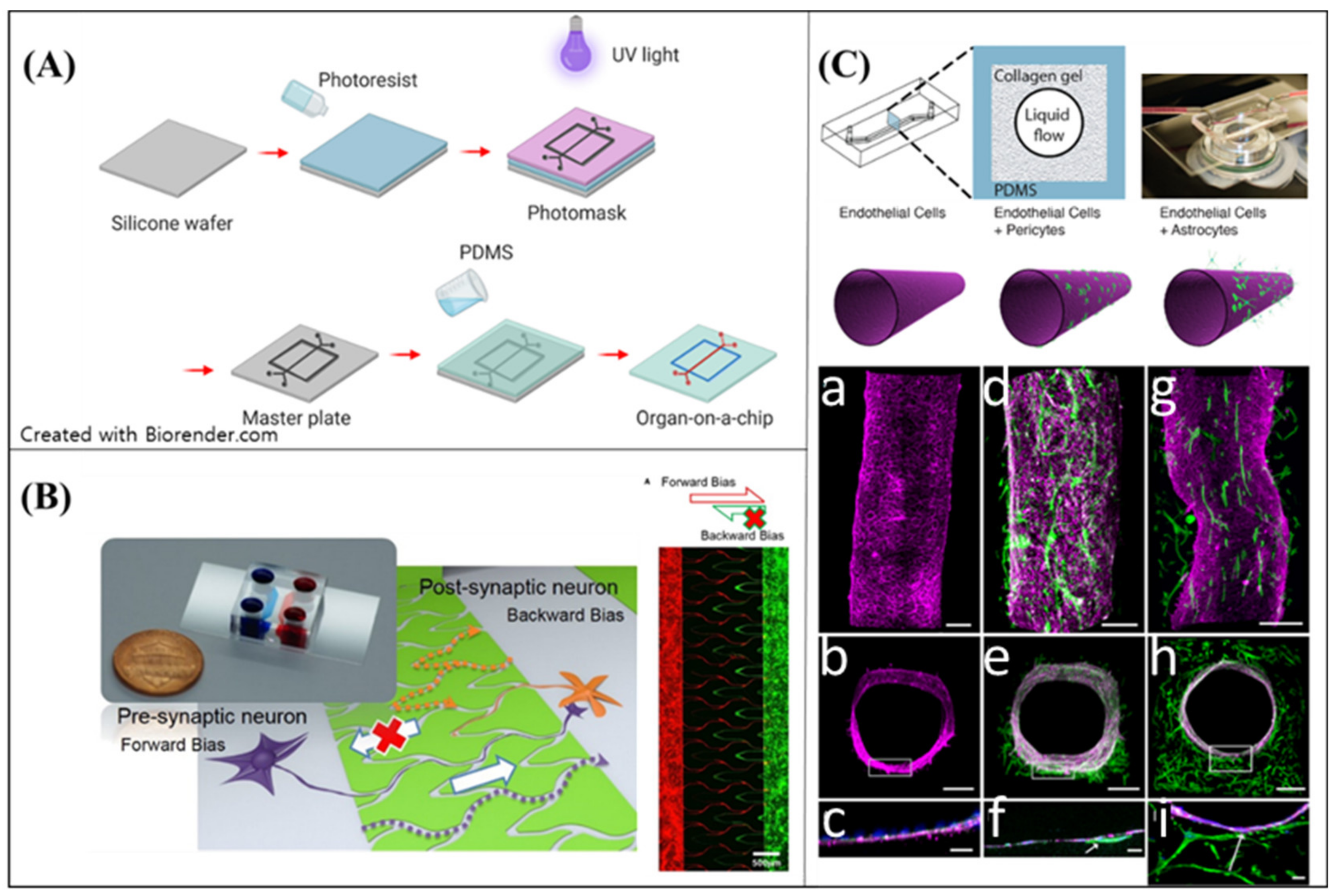 Micromachines 11 00855 g005 Micromachines 11 00855 g005