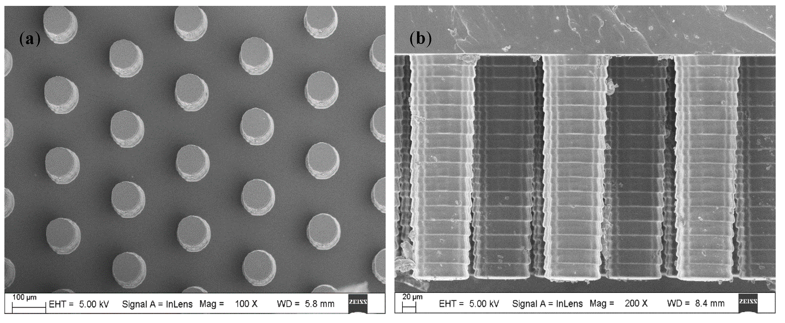 Micromachines 11 00858 g004 Micromachines 11 00858 g004