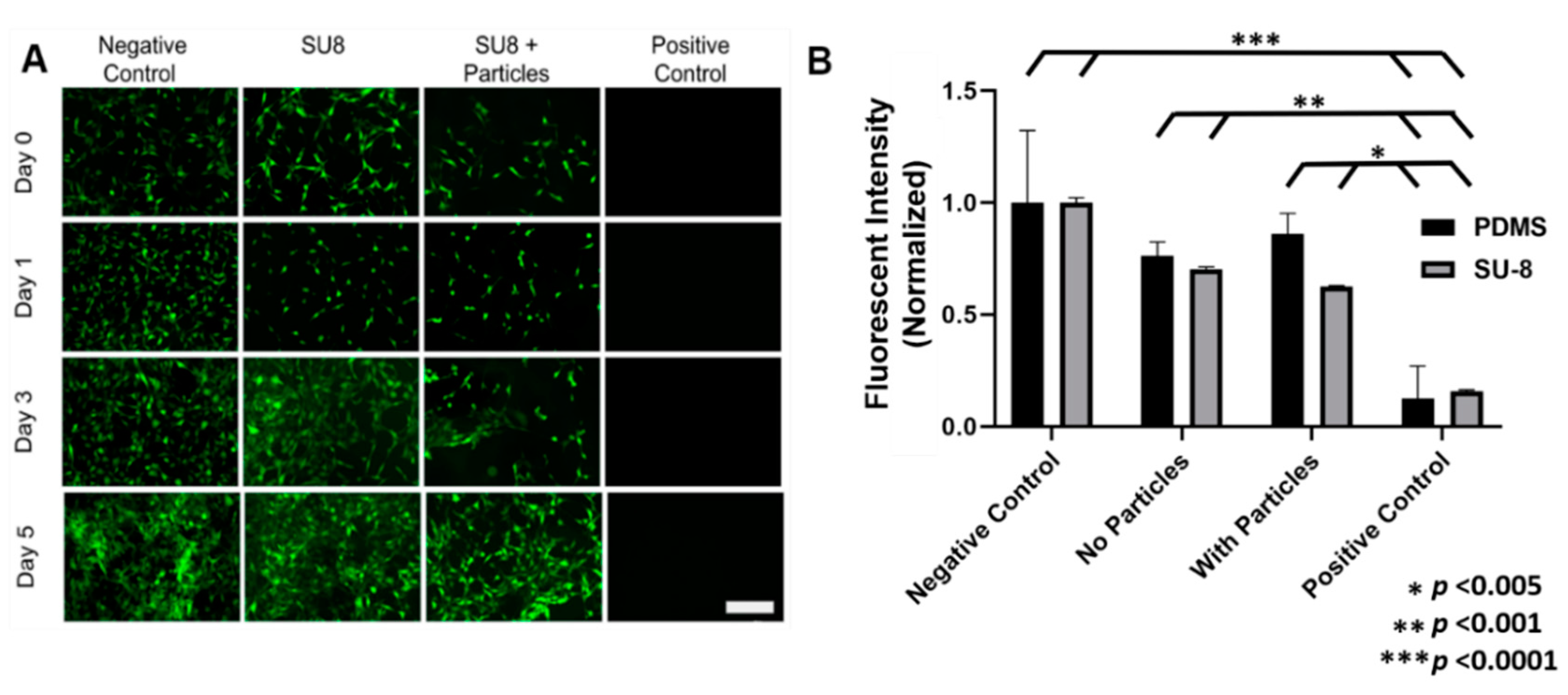 Micromachines 11 00861 g003