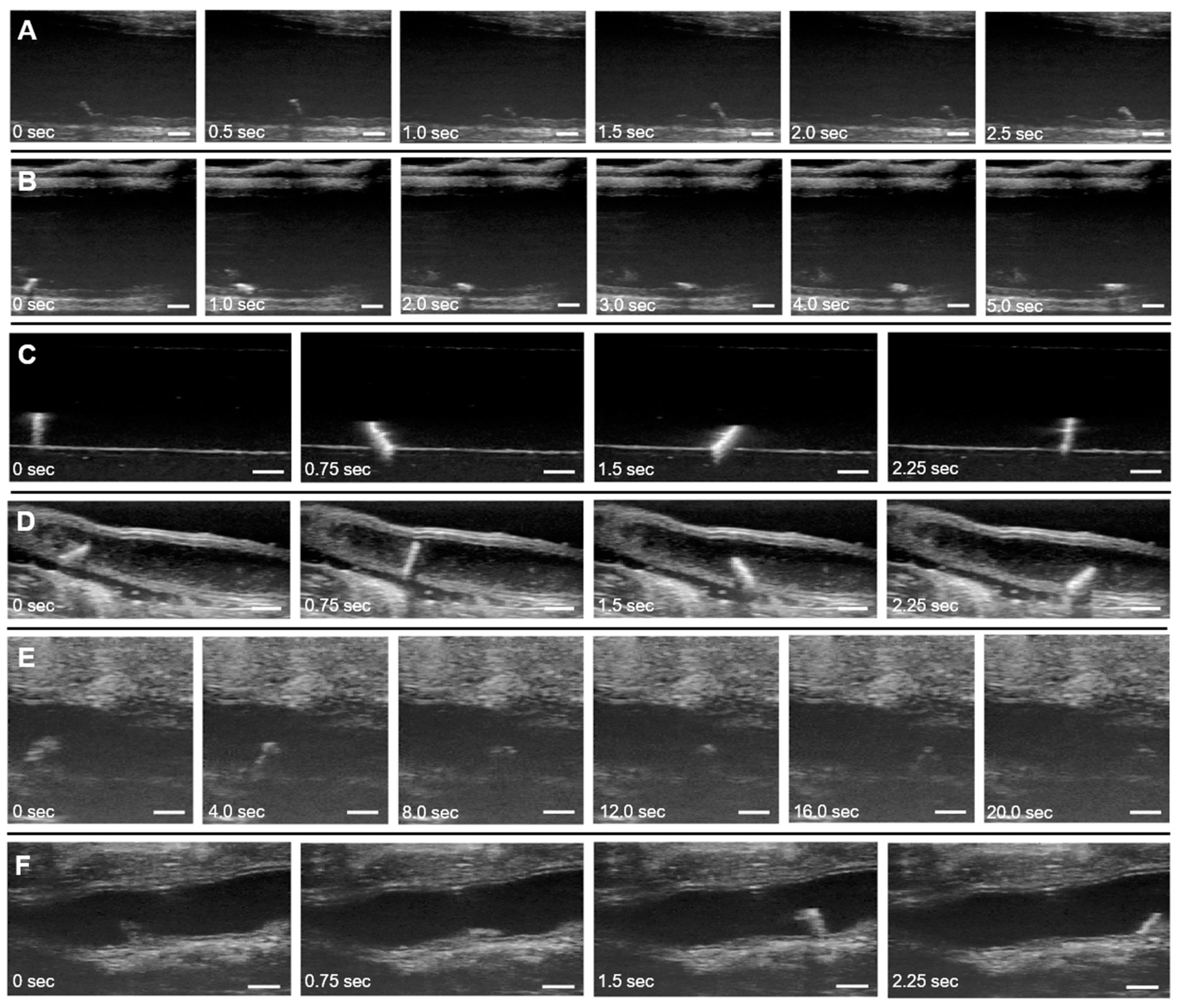 Micromachines 11 00861 g005