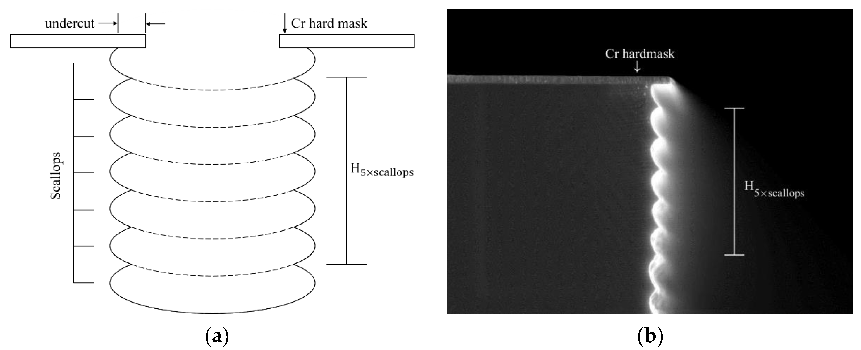 Micromachines 11 00864 g002