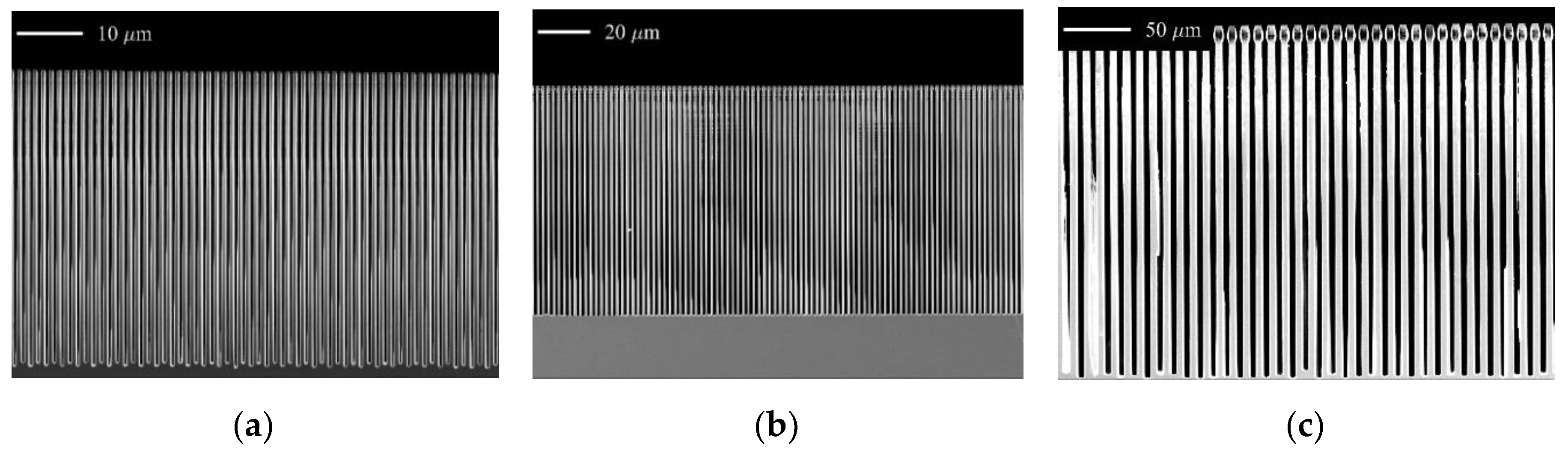 Micromachines 11 00864 g006