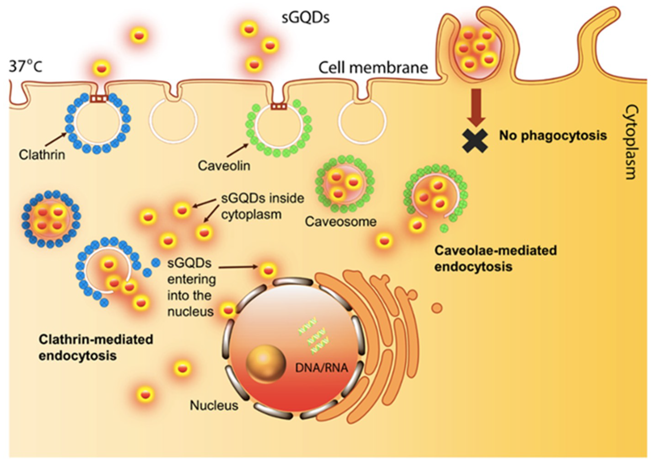 Micromachines 11 00866 g009
