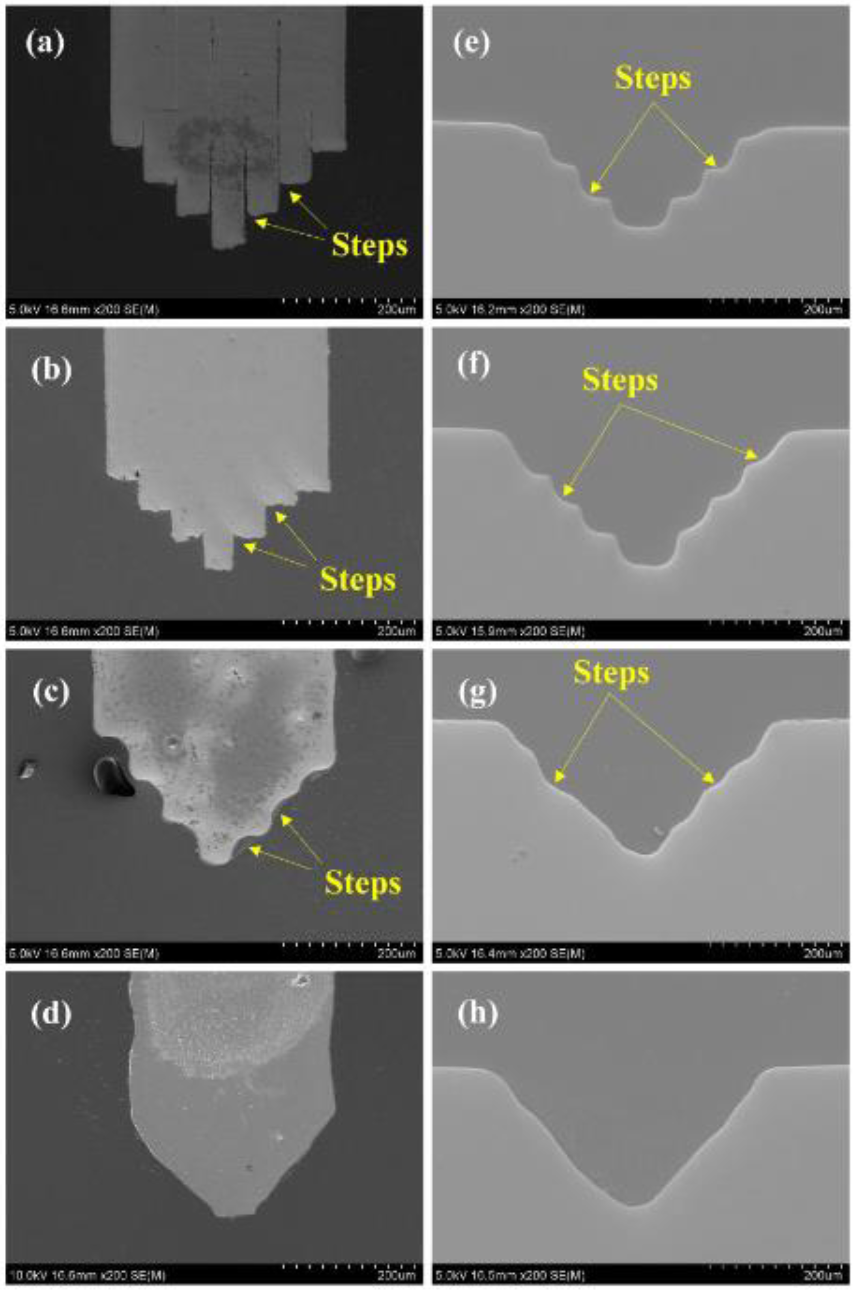 Micromachines 11 00868 g006 Micromachines 11 00868 g006