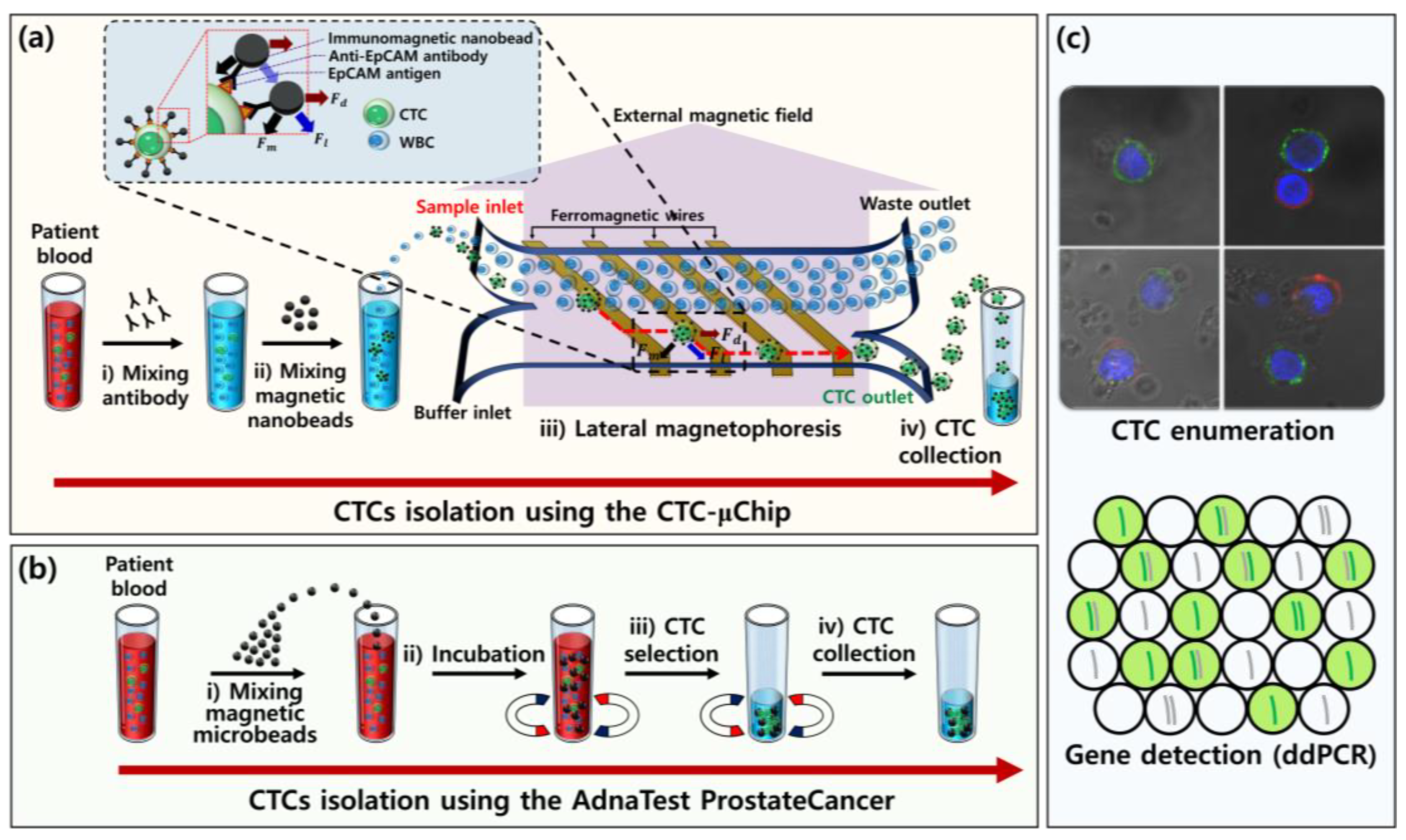 Micromachines 11 00870 g001 Micromachines 11 00870 g001