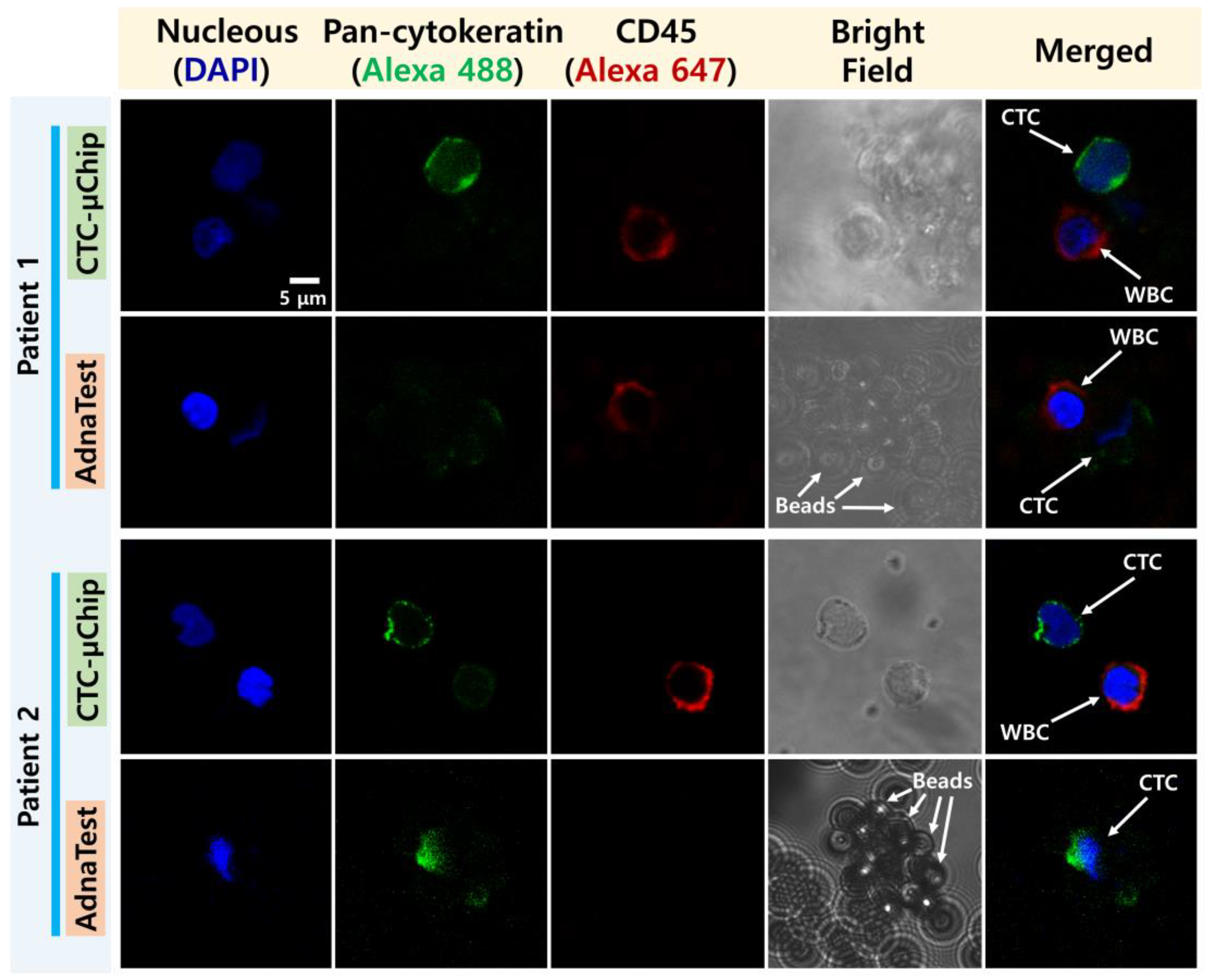 Micromachines 11 00870 g003 Micromachines 11 00870 g003