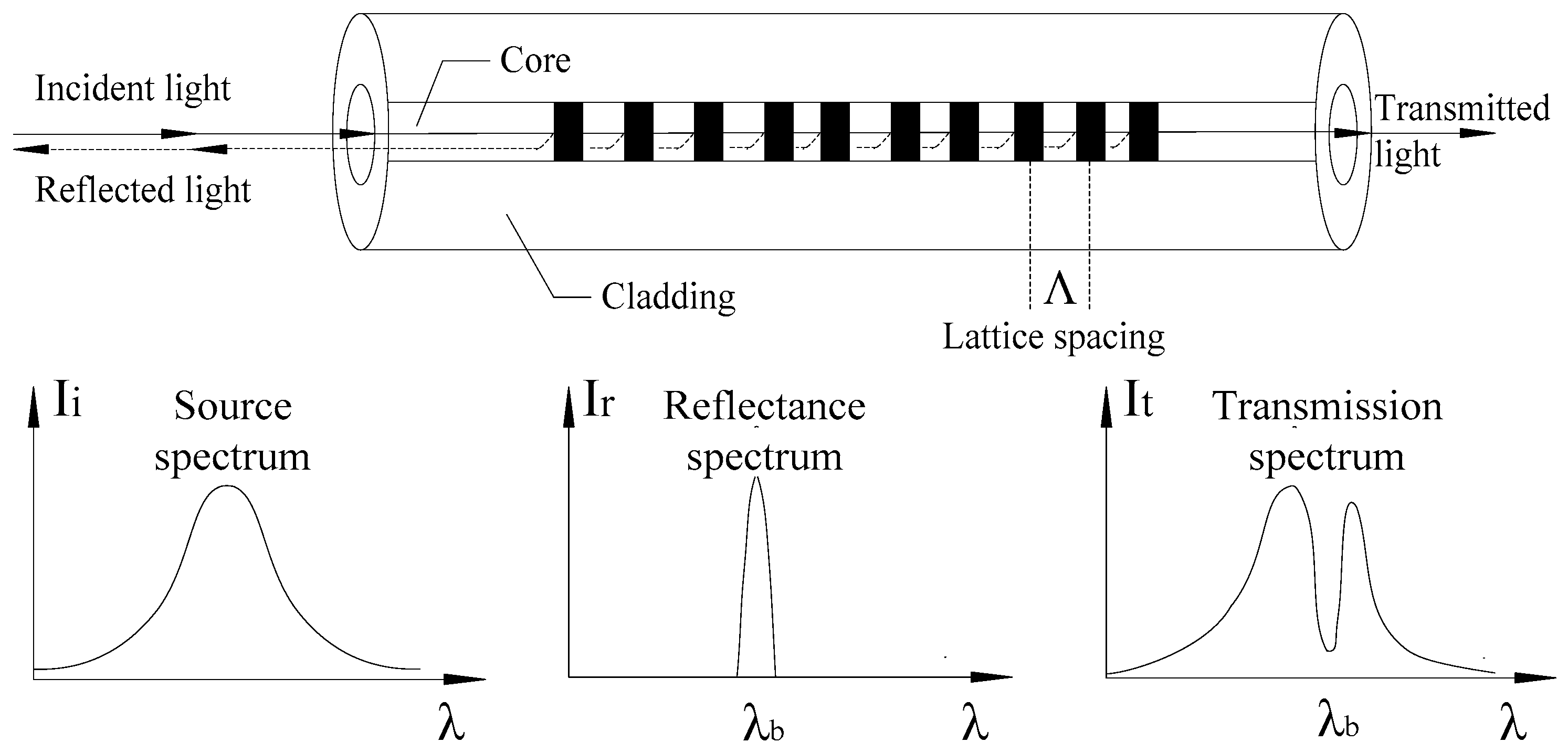 Micromachines 11 00876 g005
