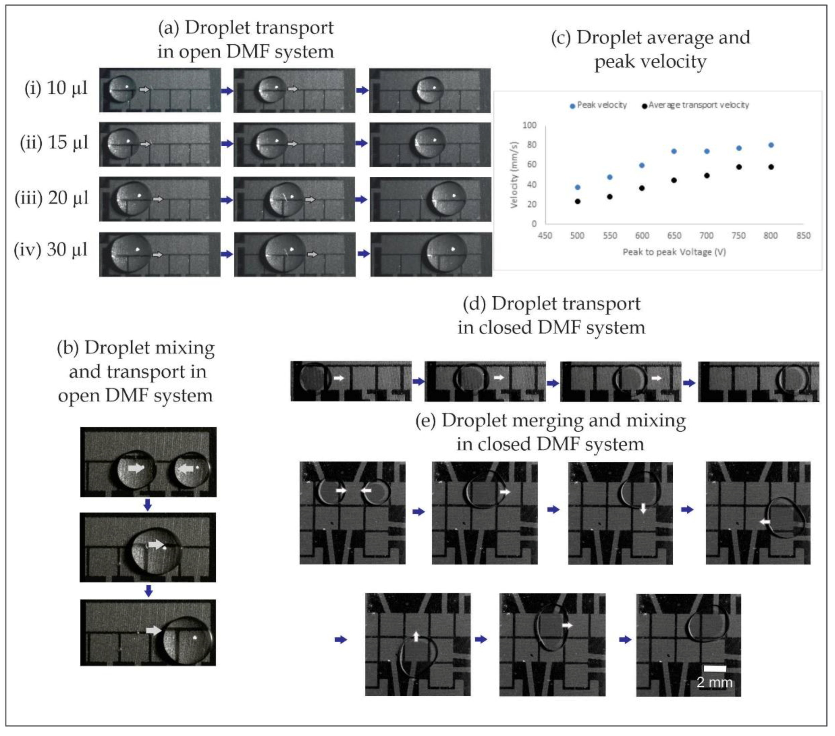 Micromachines 11 00880 g005 Micromachines 11 00880 g005