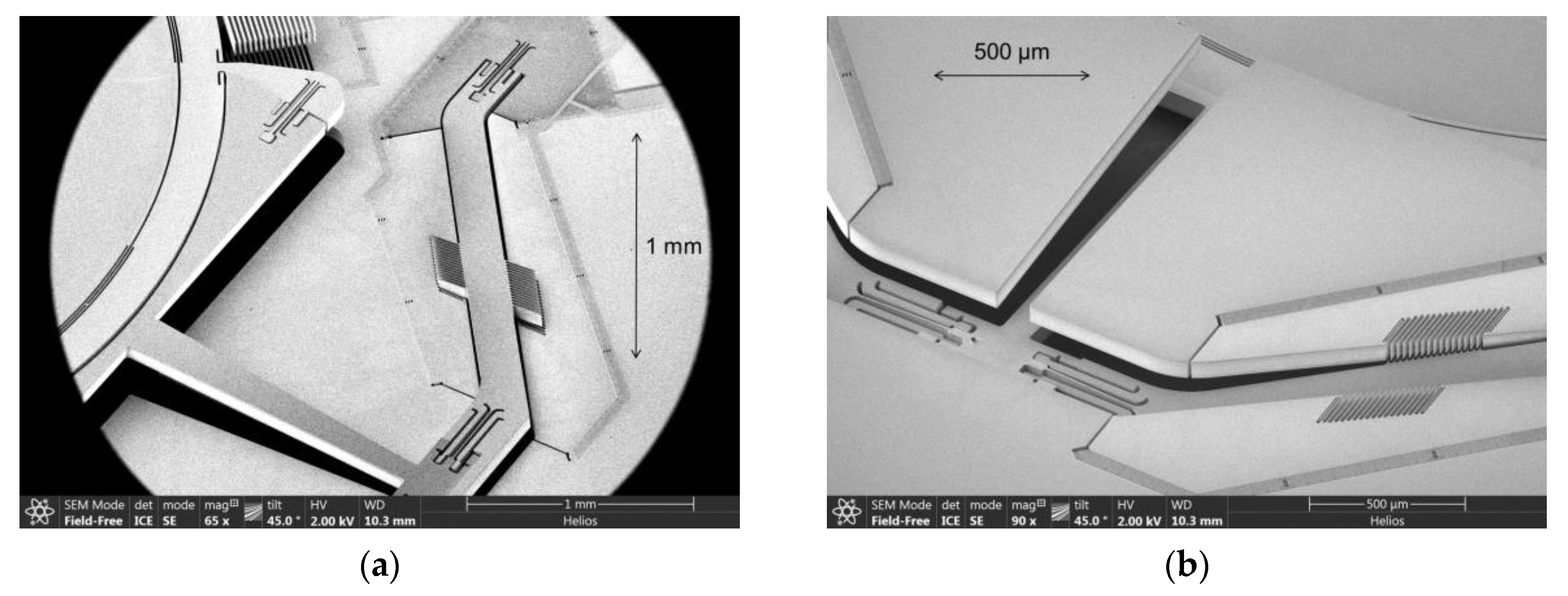 Micromachines 11 00883 g004