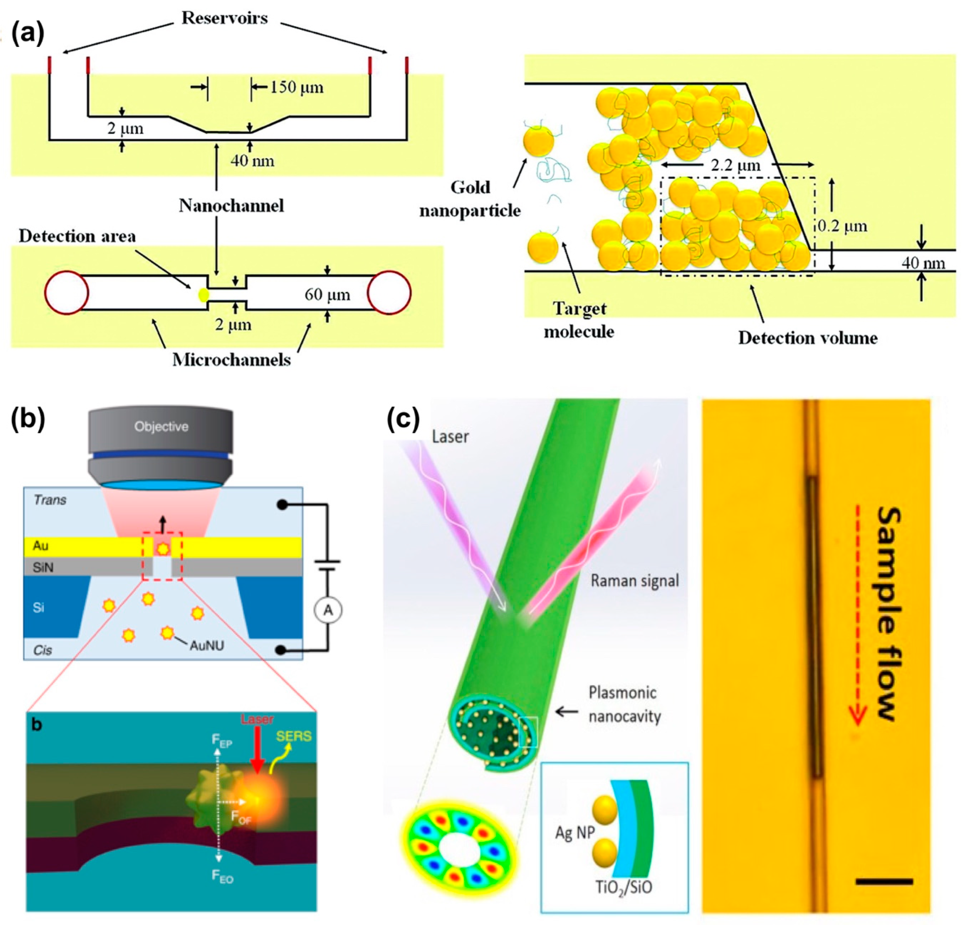 Micromachines 11 00885 g002 Micromachines 11 00885 g002