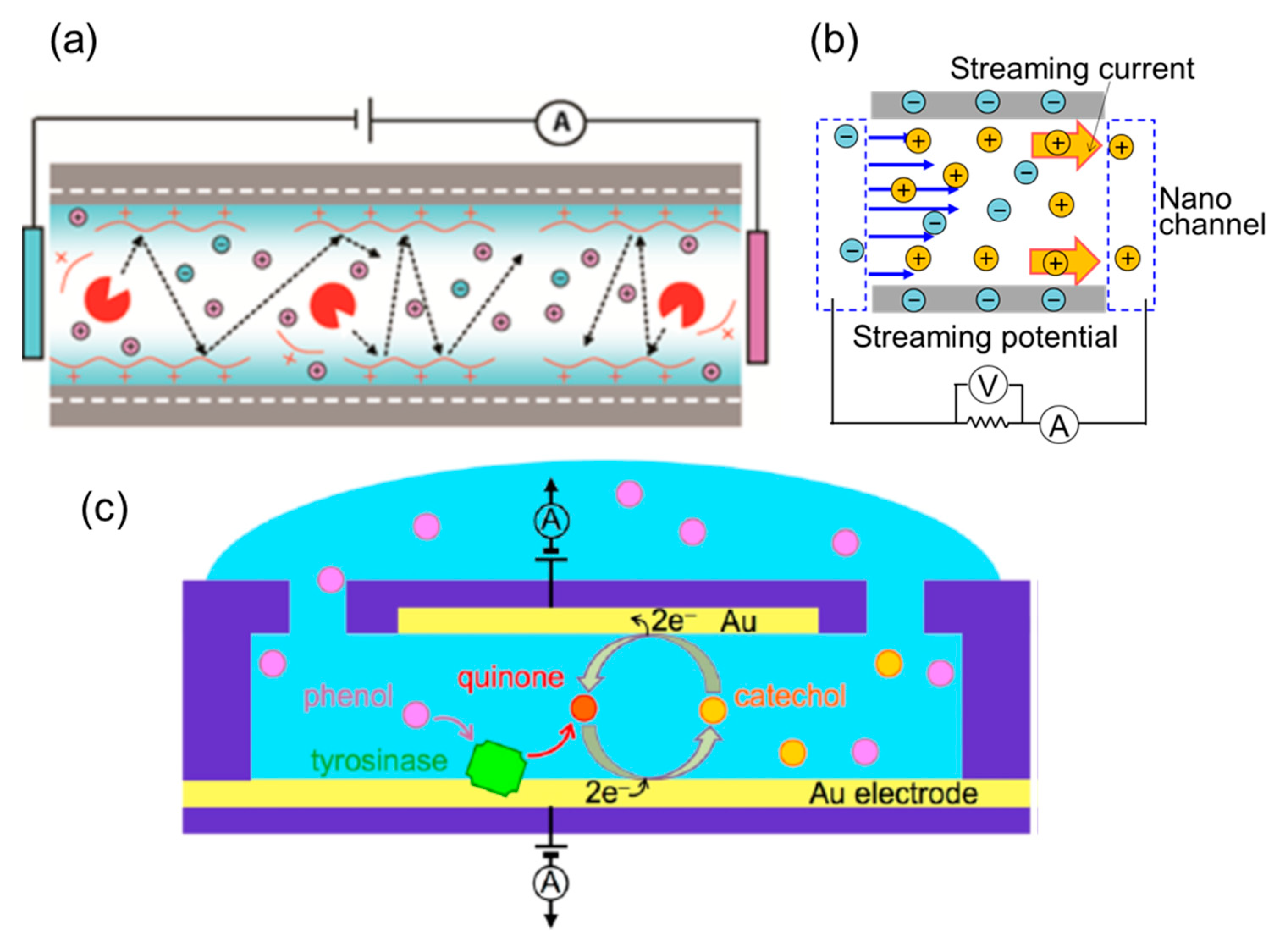 Micromachines 11 00885 g005 Micromachines 11 00885 g005