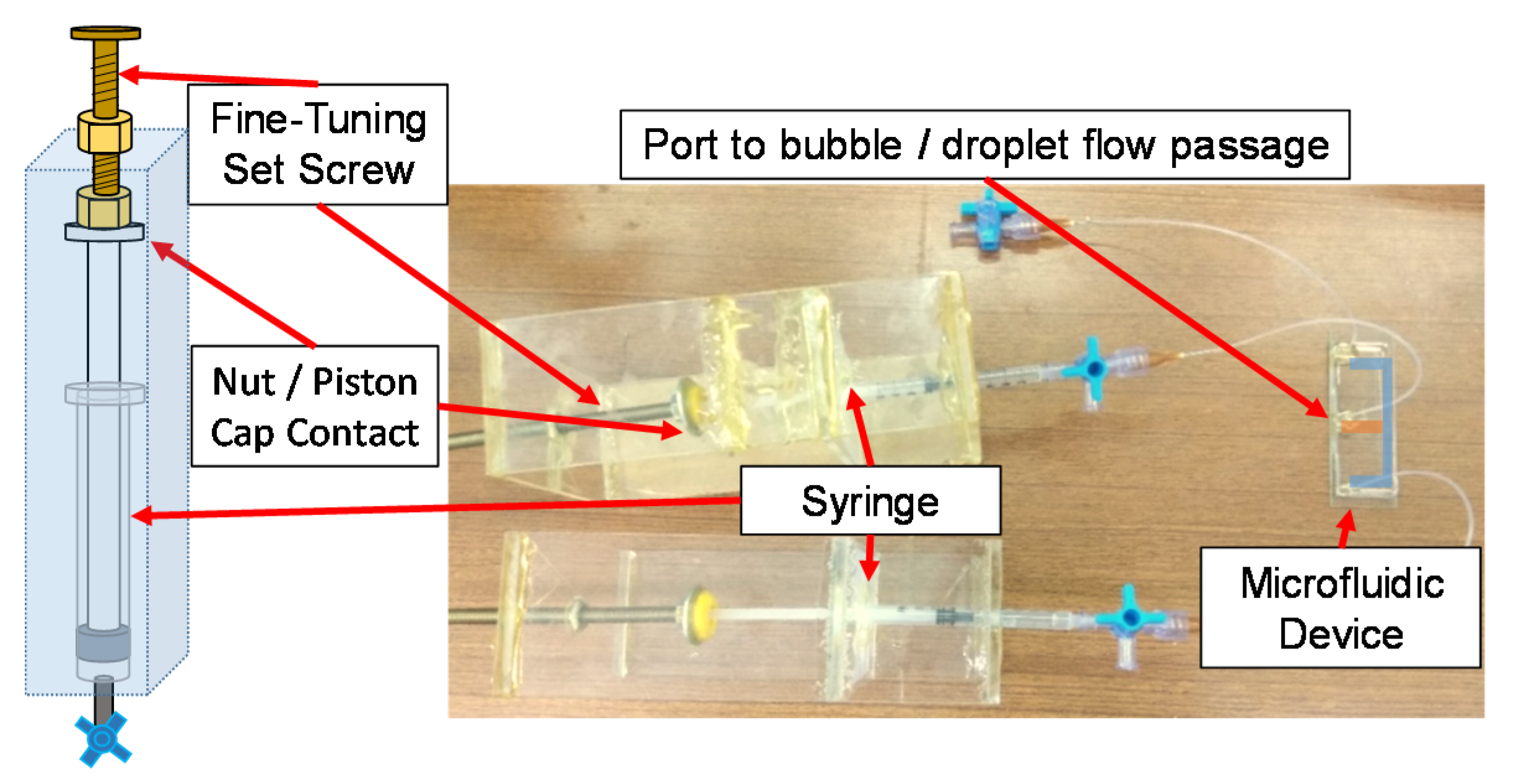 Micromachines 11 00891 g002
