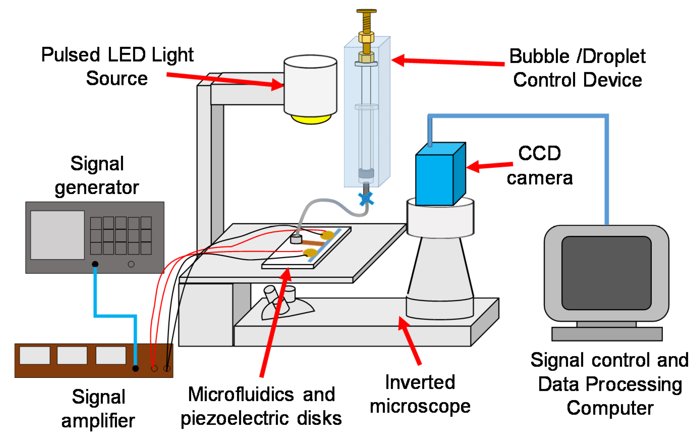 Micromachines 11 00891 g003