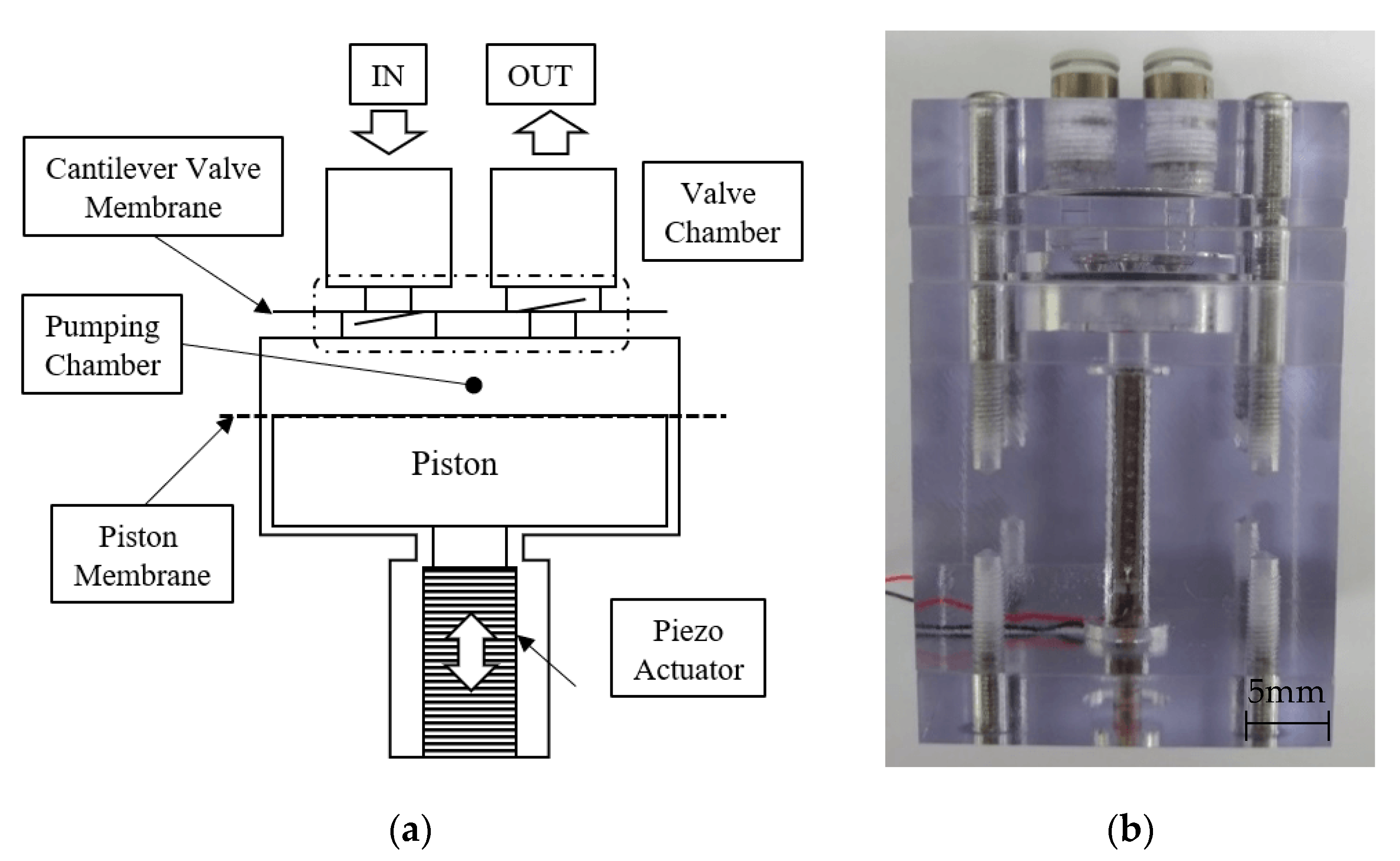 Micromachines 11 00894 g002