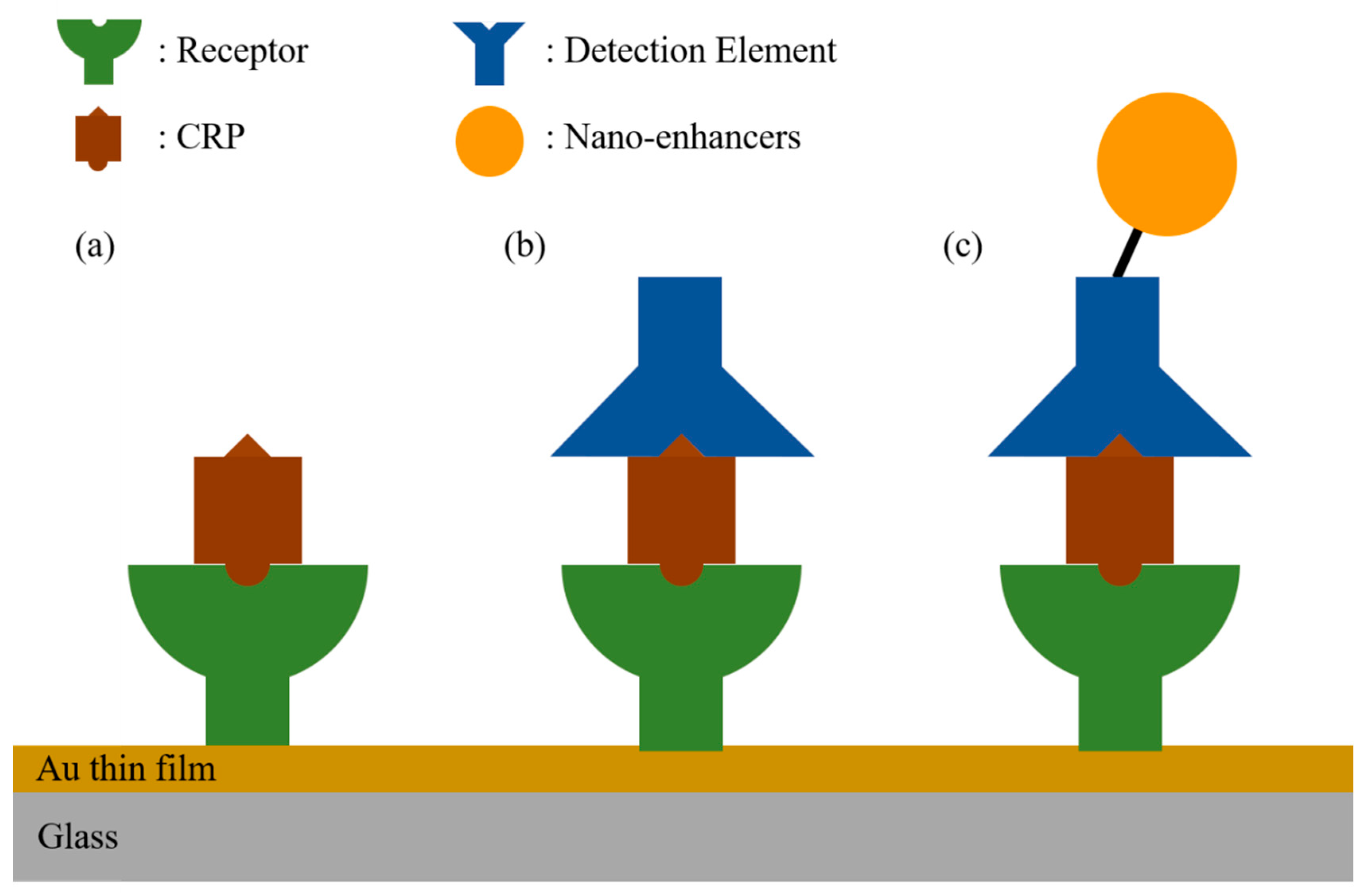 Micromachines 11 00895 g001 Micromachines 11 00895 g001