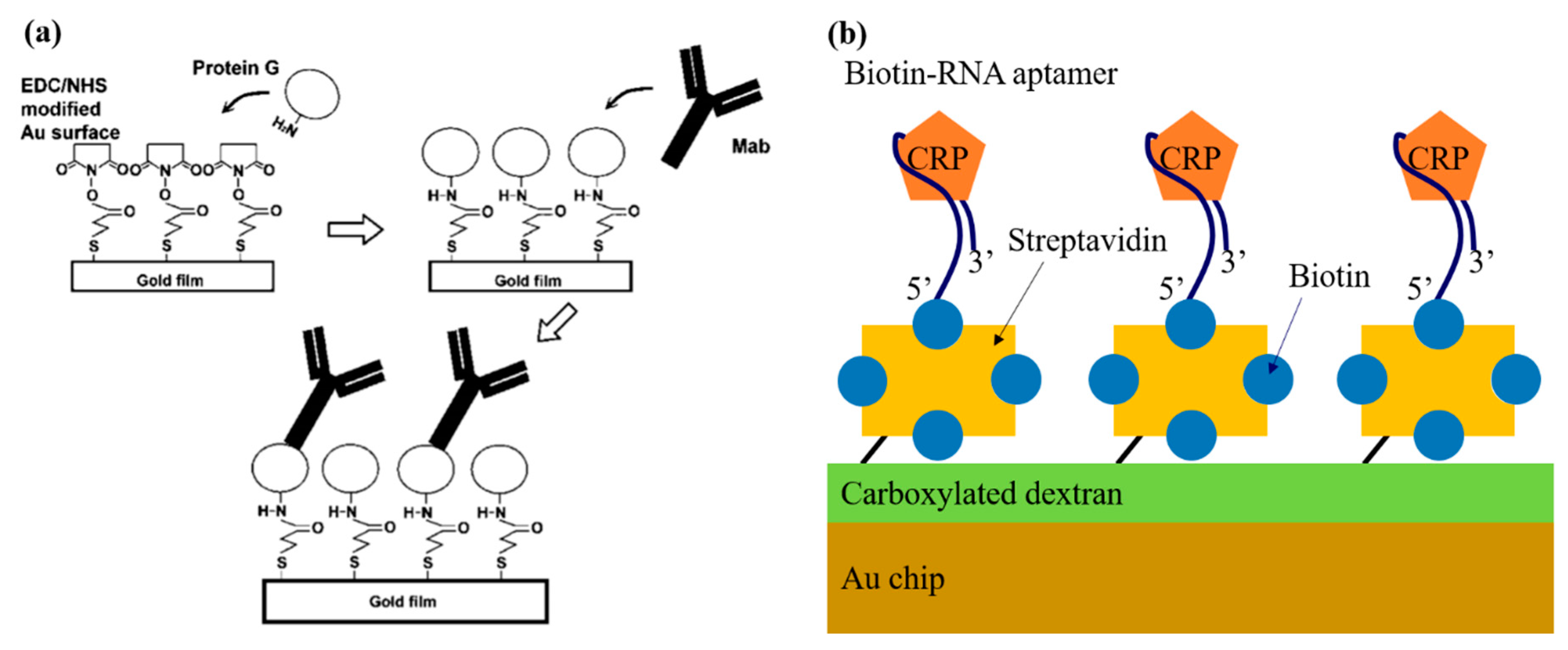 Micromachines 11 00895 g002 Micromachines 11 00895 g002