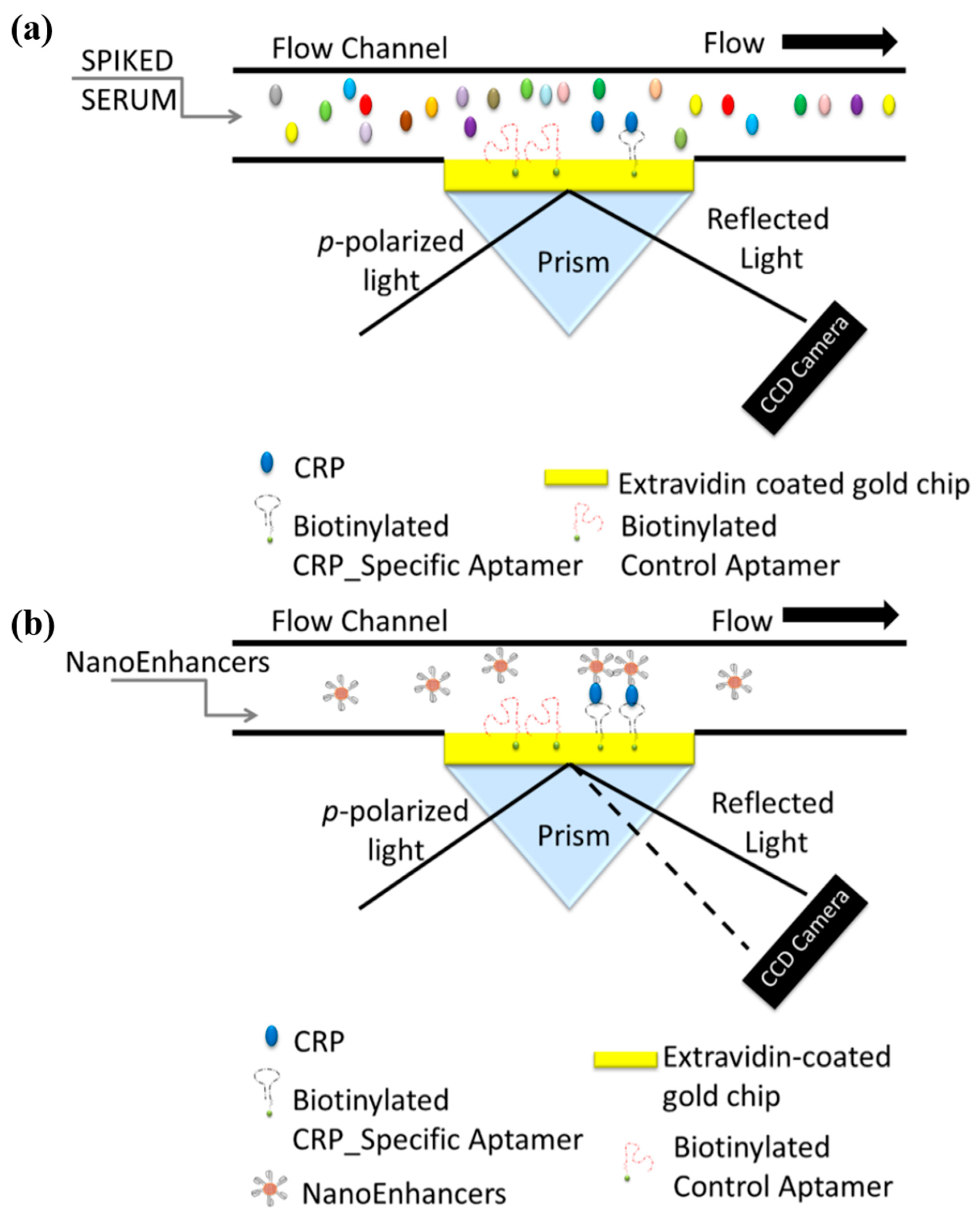 Micromachines 11 00895 g004 Micromachines 11 00895 g004