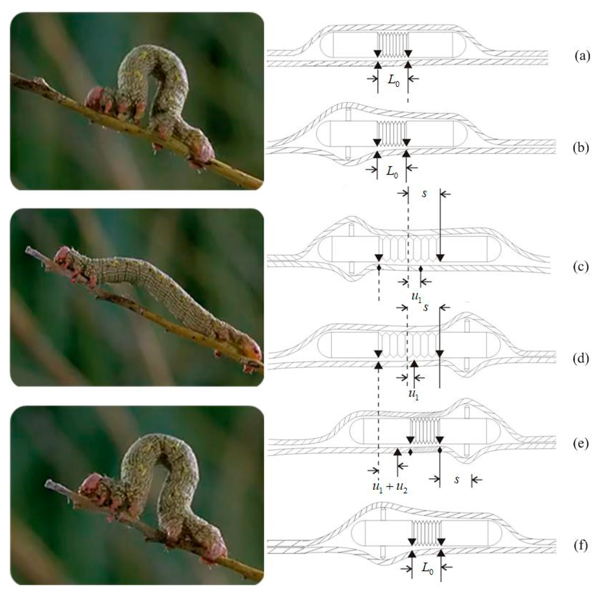 Micromachines 11 00896 g001 Micromachines 11 00896 g001