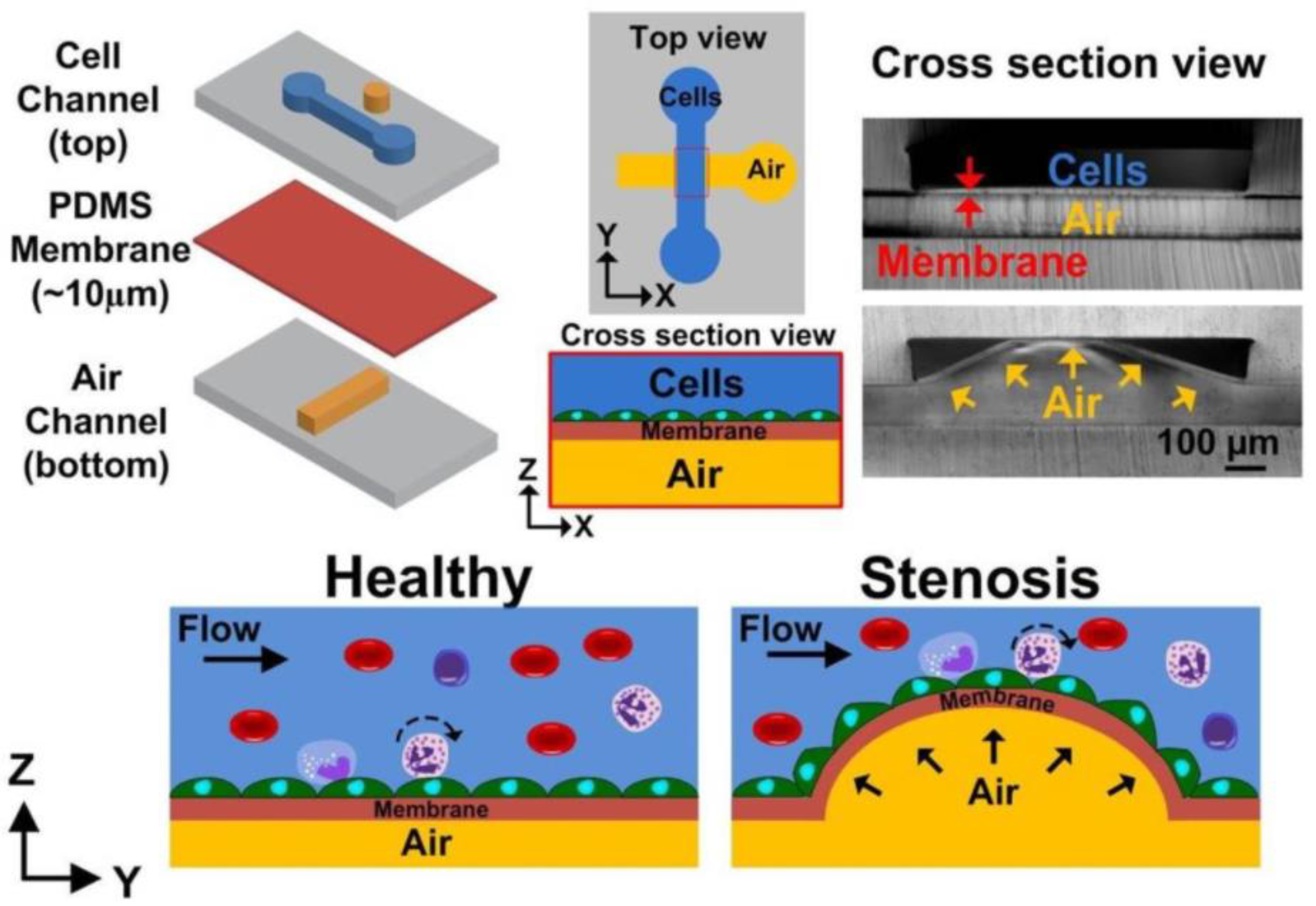 Micromachines 11 00898 g011 Micromachines 11 00898 g011