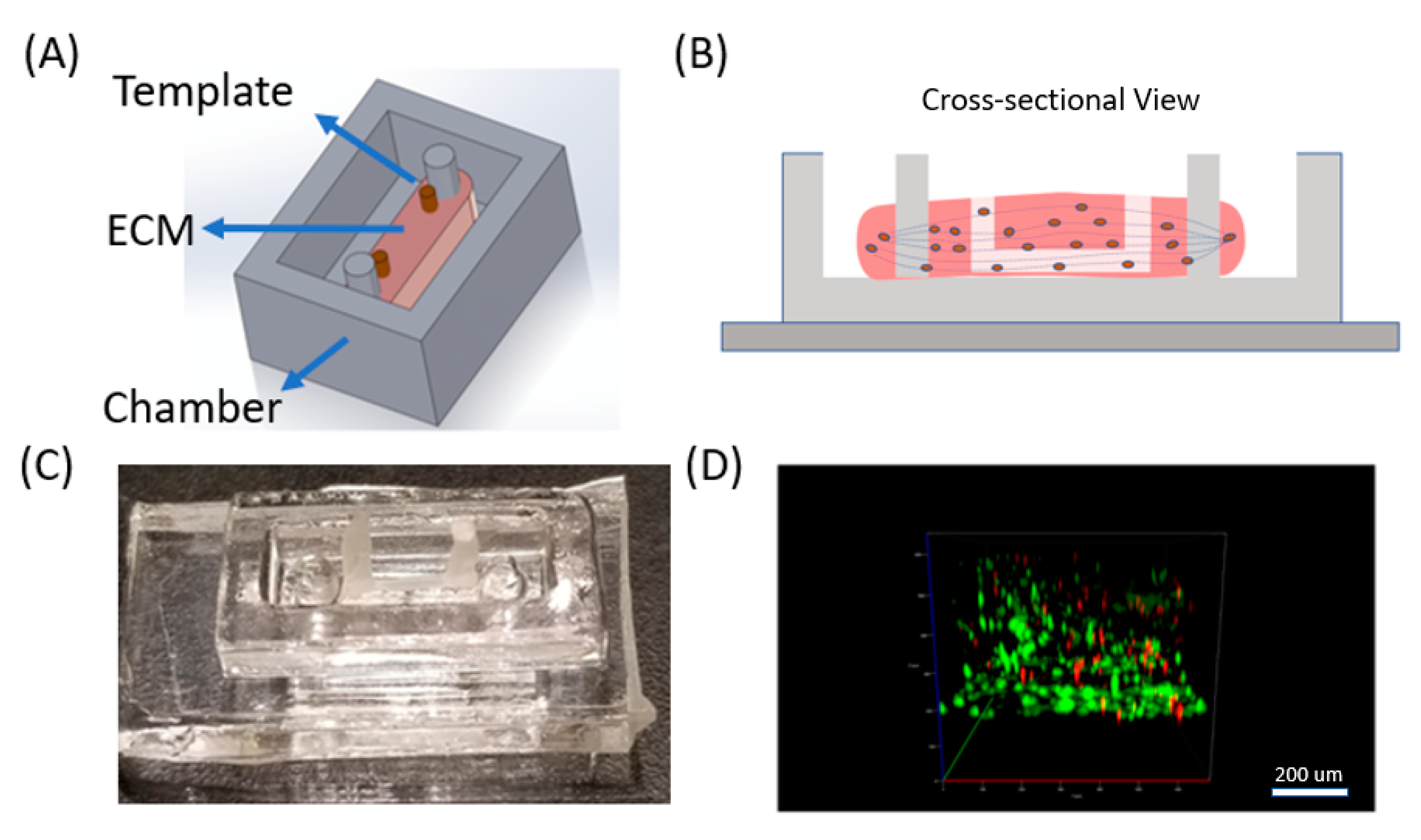 Micromachines 11 00907 g001