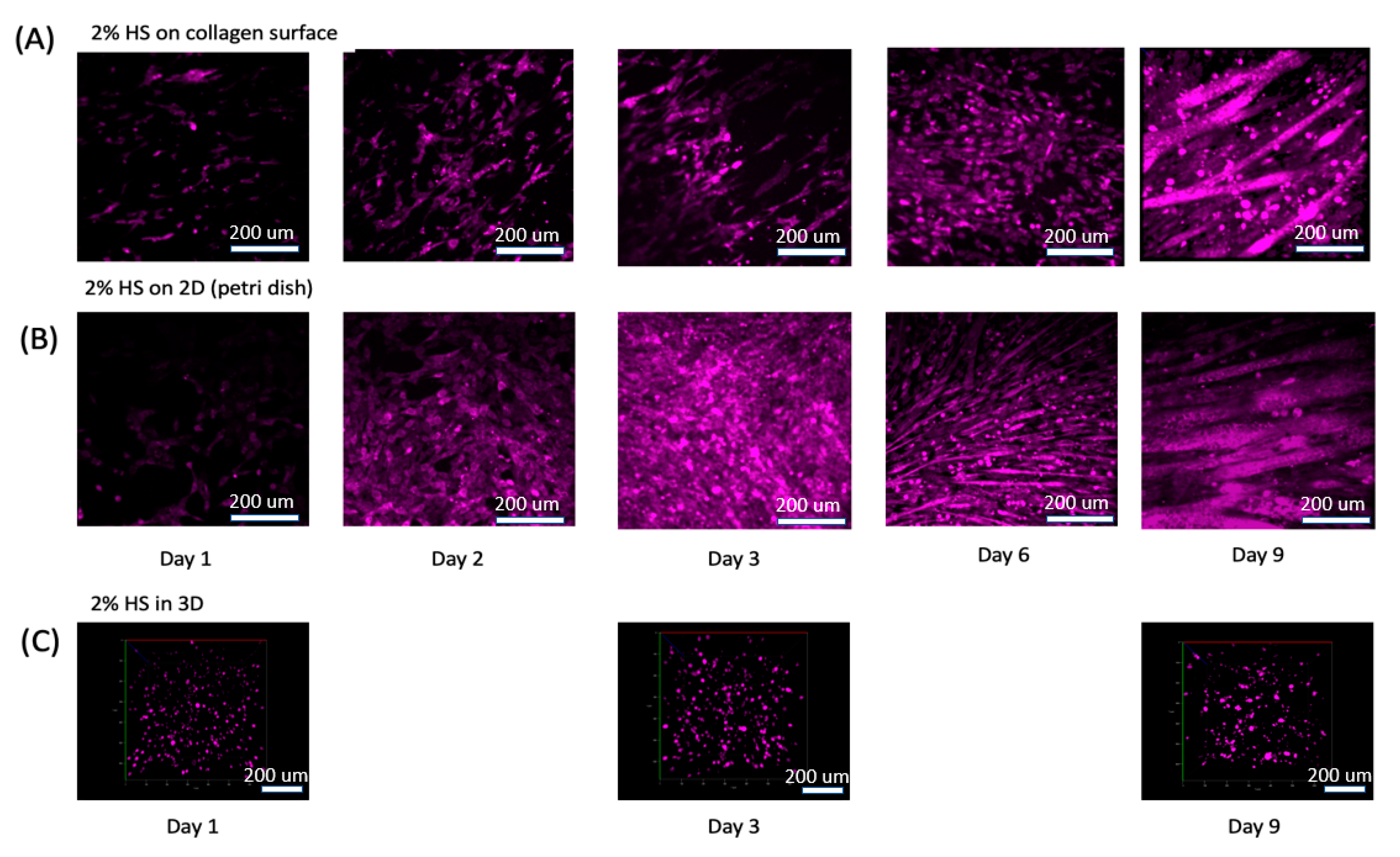 Micromachines 11 00907 g004