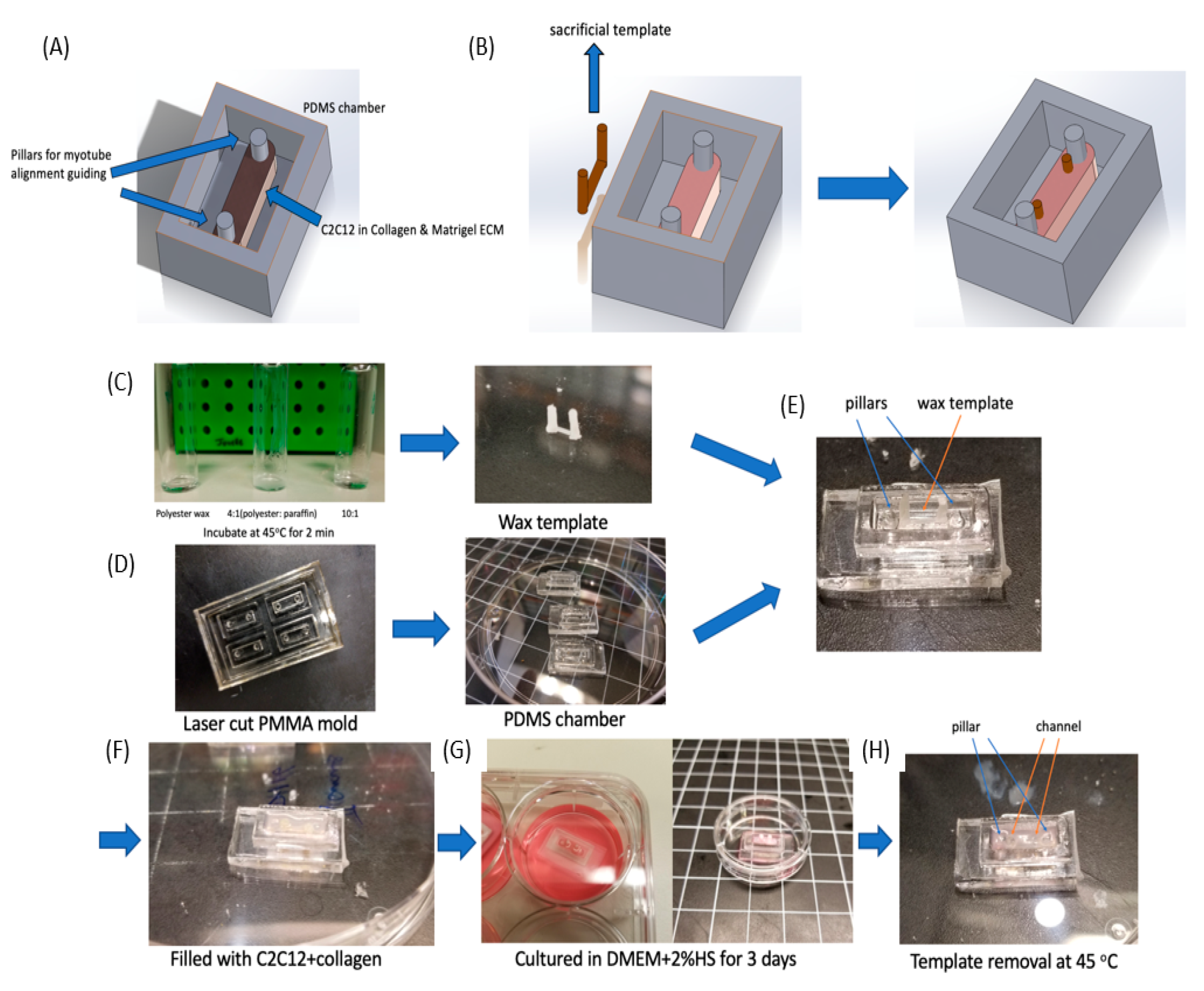 Micromachines 11 00907 g005