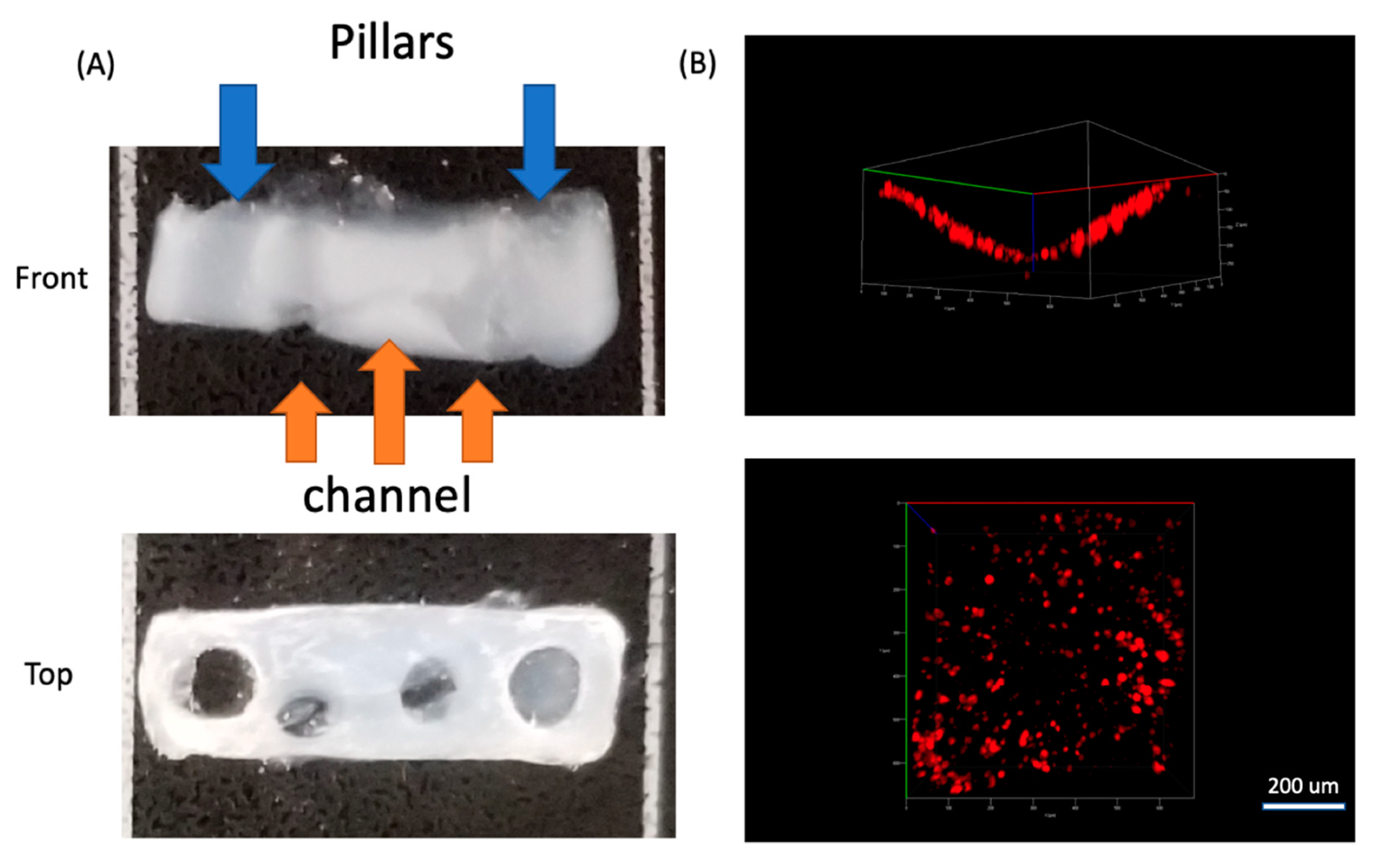 Micromachines 11 00907 g006