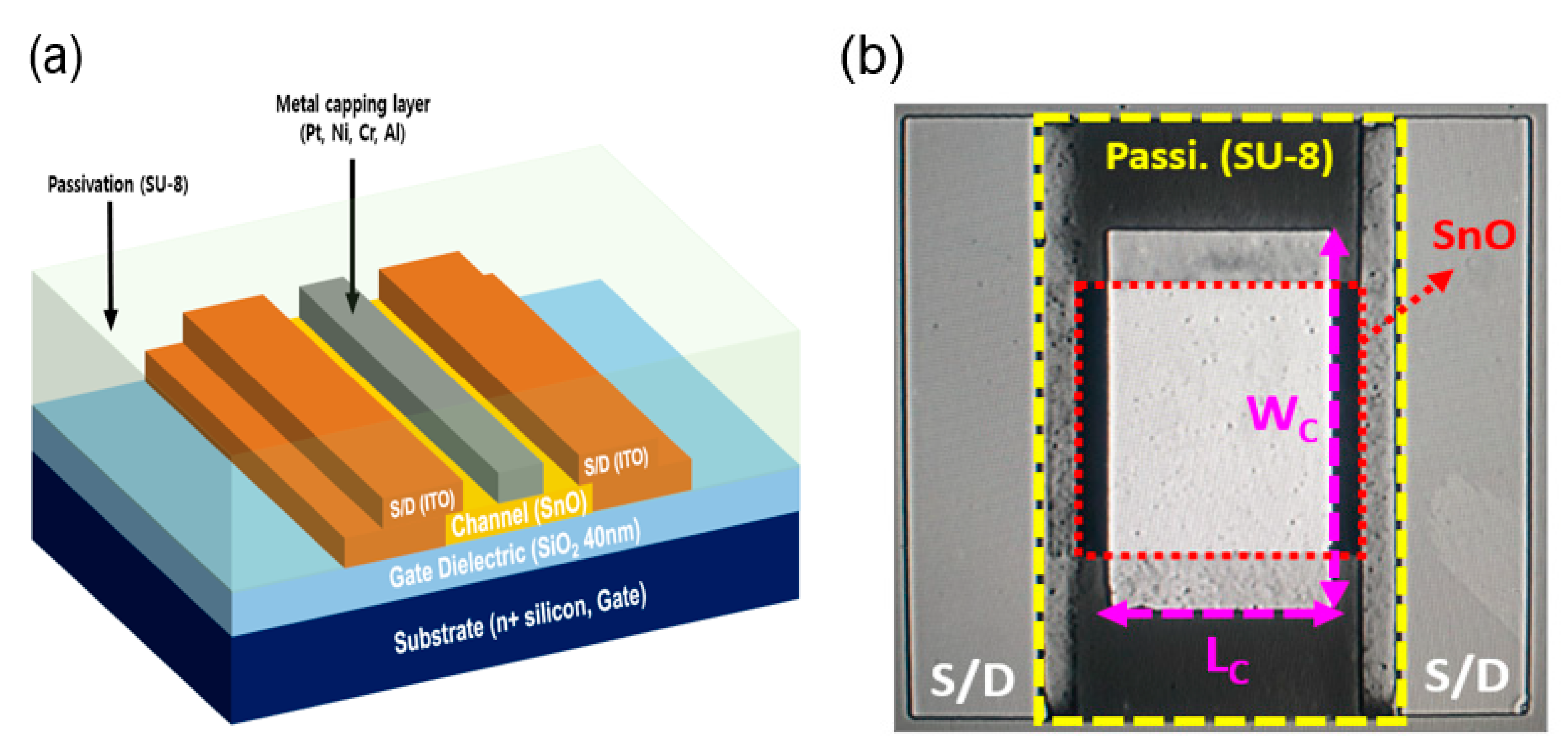 Semiconductor Transistor Sem