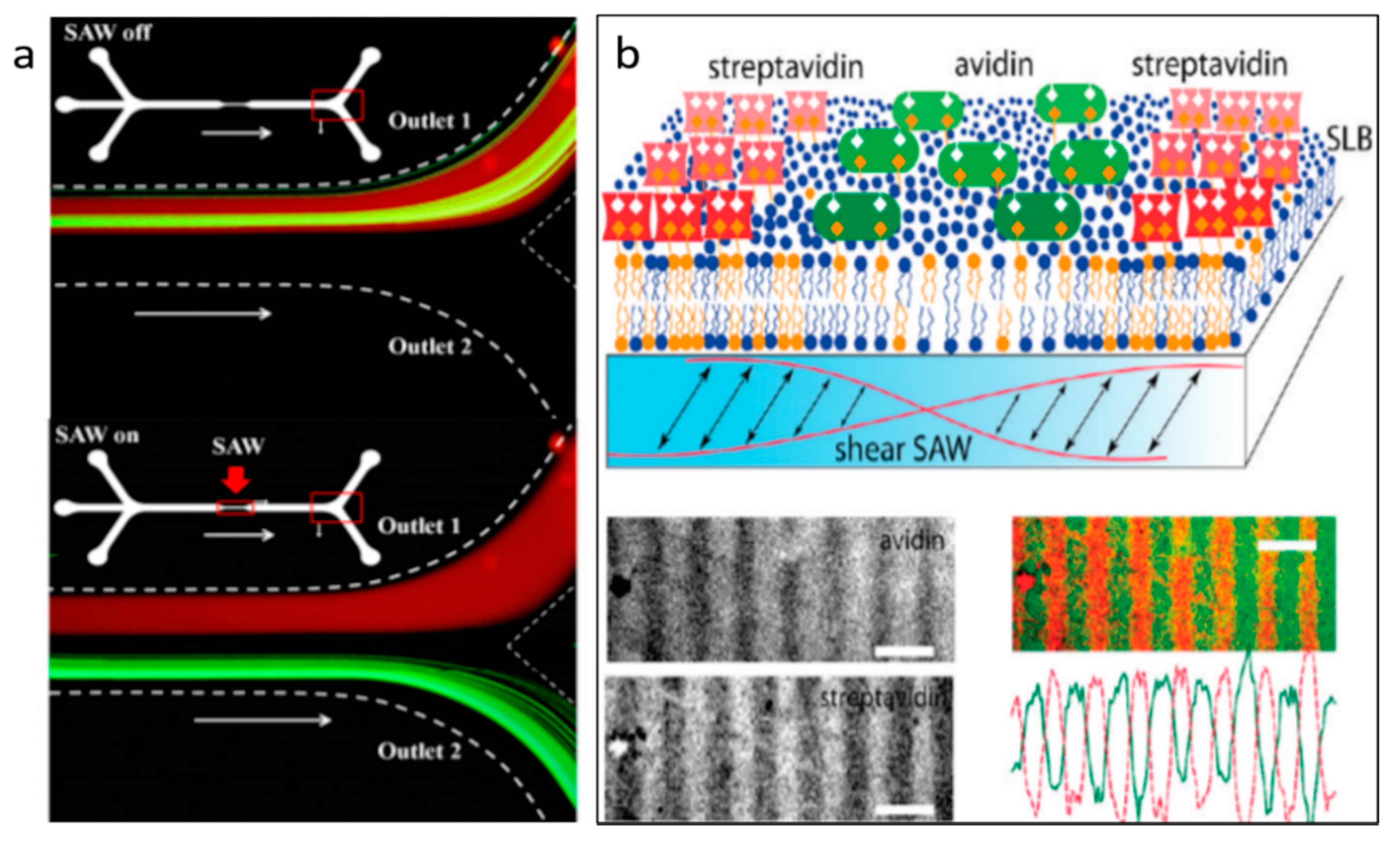 Micromachines 11 00921 g006 Micromachines 11 00921 g006