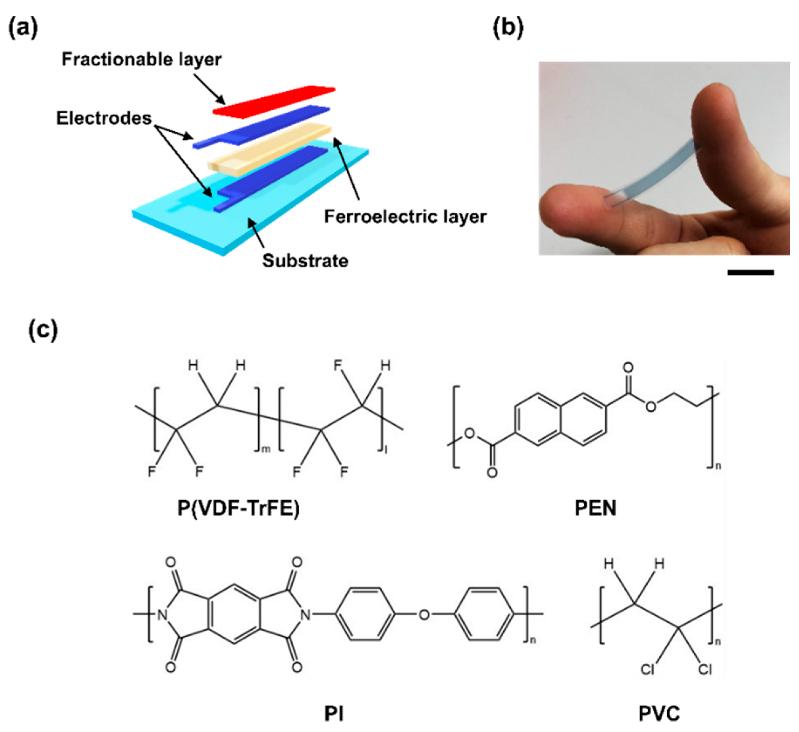 Micromachines 11 00927 g001 Micromachines 11 00927 g001