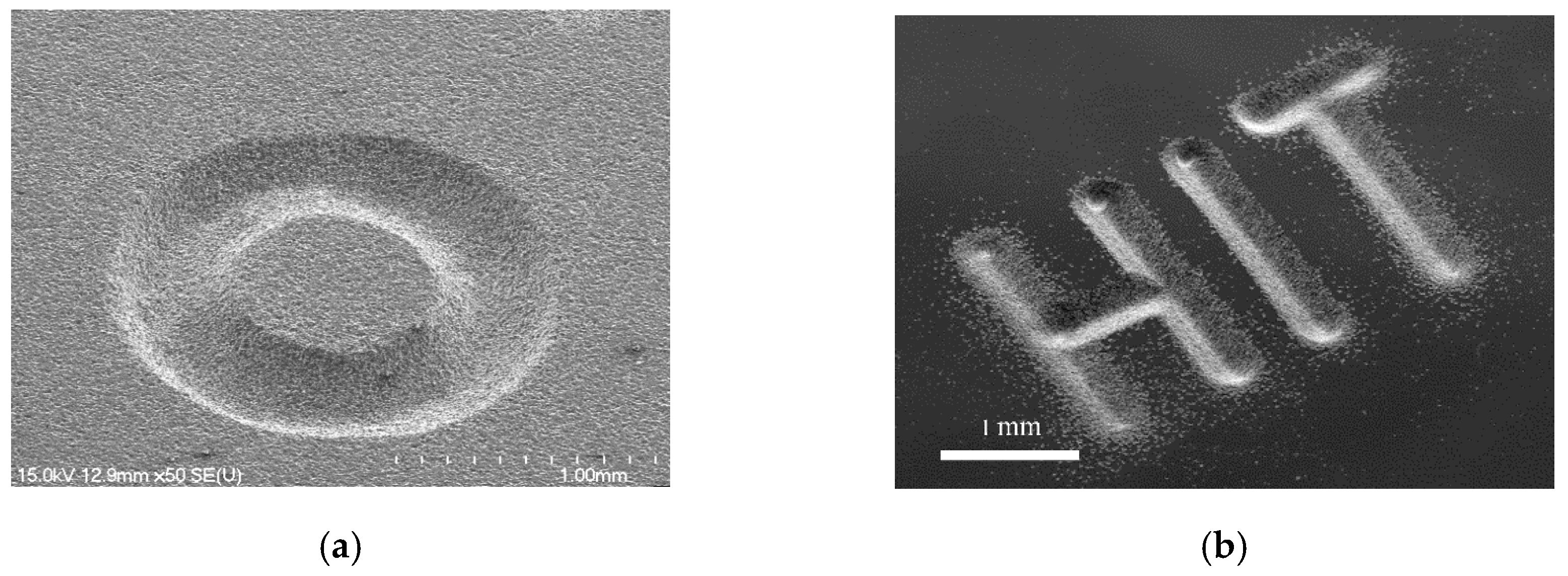 Micromachines 11 00935 g012 Micromachines 11 00935 g012