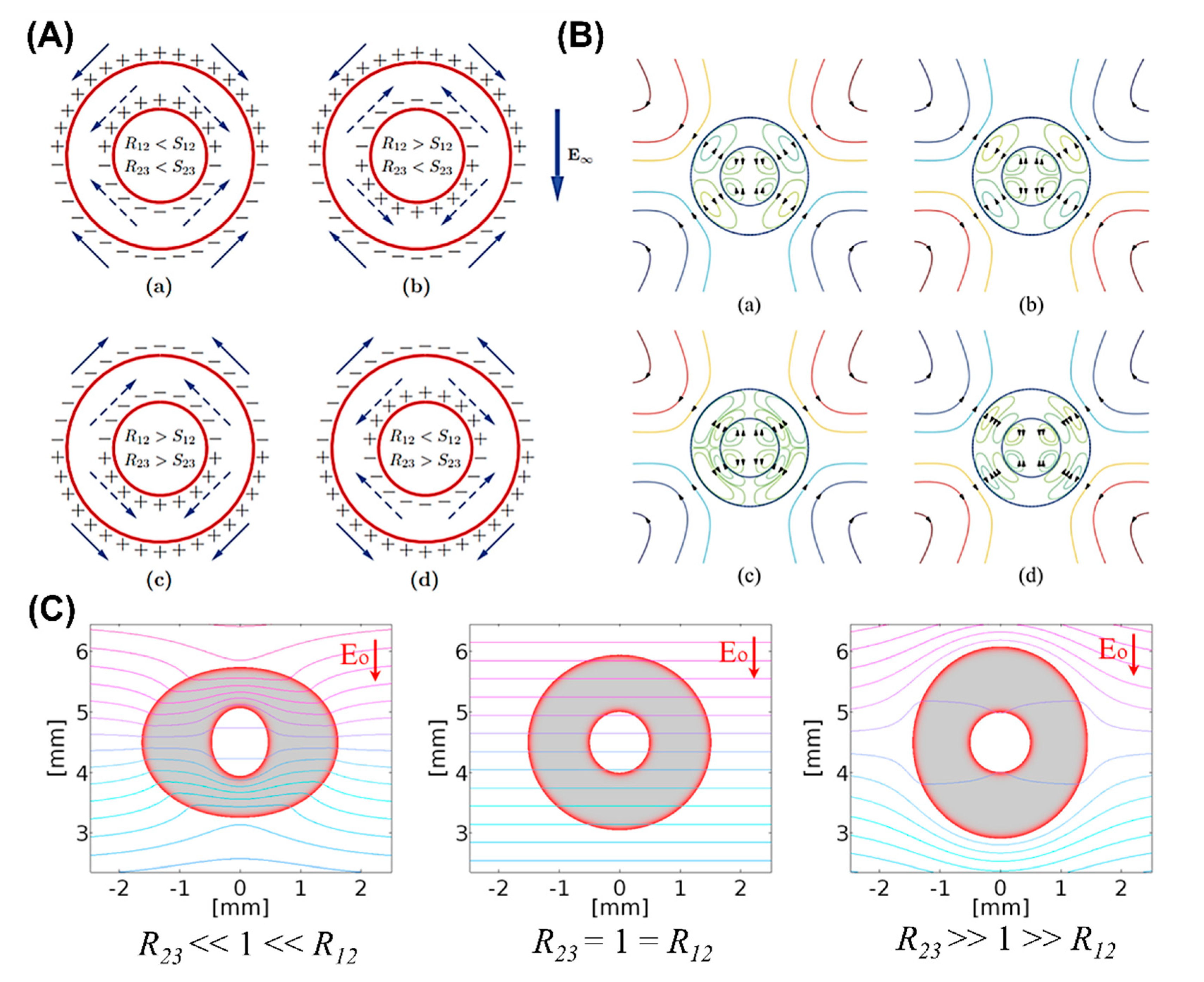 Micromachines 11 00942 g008
