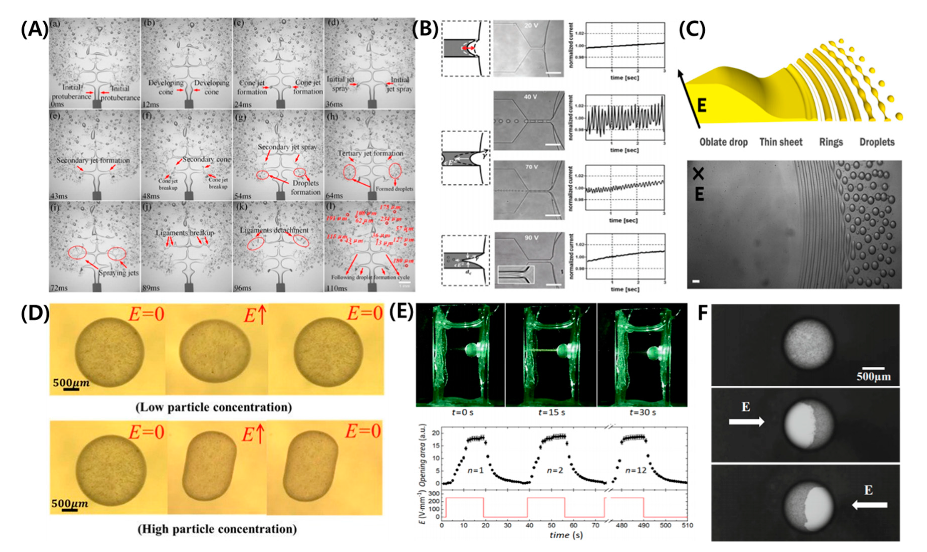 Micromachines 11 00942 g010